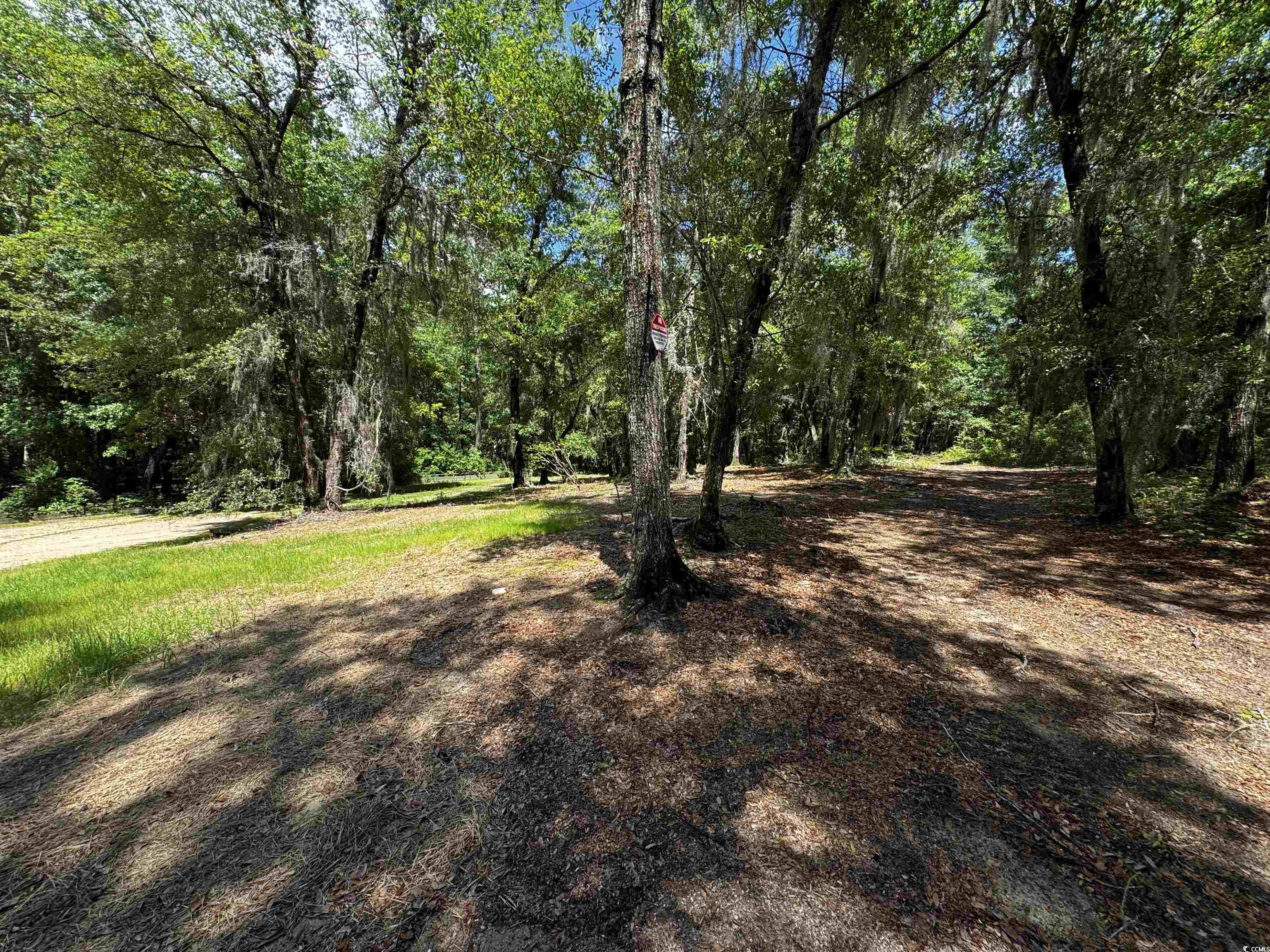 455 Crow Hill Dr., Georgetown, South Carolina image 3