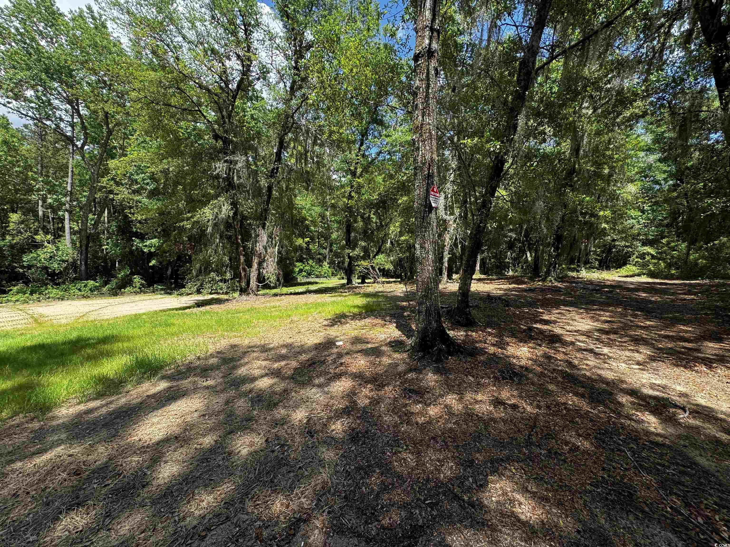 455 Crow Hill Dr., Georgetown, South Carolina image 4