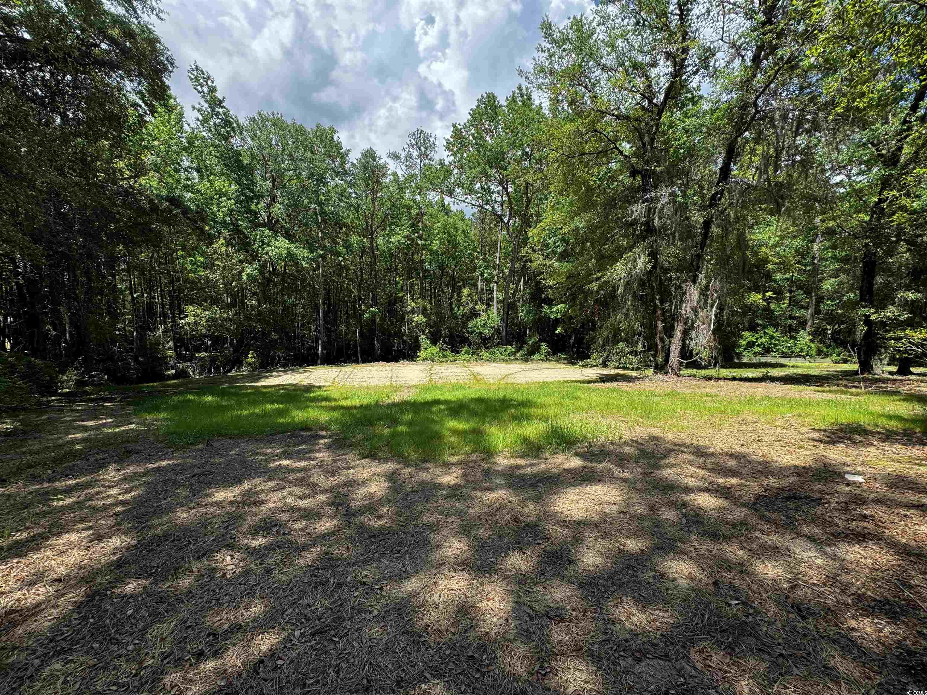 455 Crow Hill Dr., Georgetown, South Carolina image 6