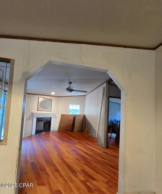 3445 Roche Avenue, Vernon, Florida image 5