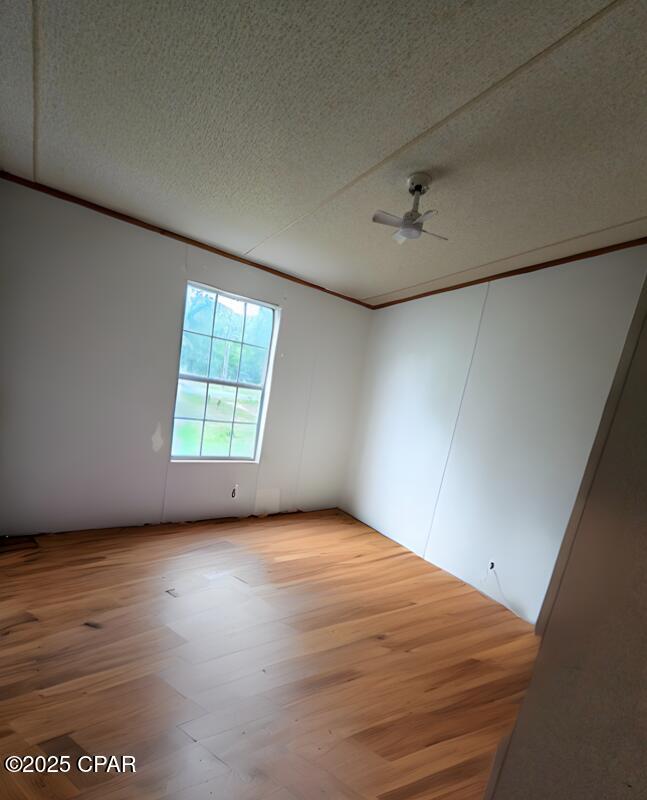 3445 Roche Avenue, Vernon, Florida image 6
