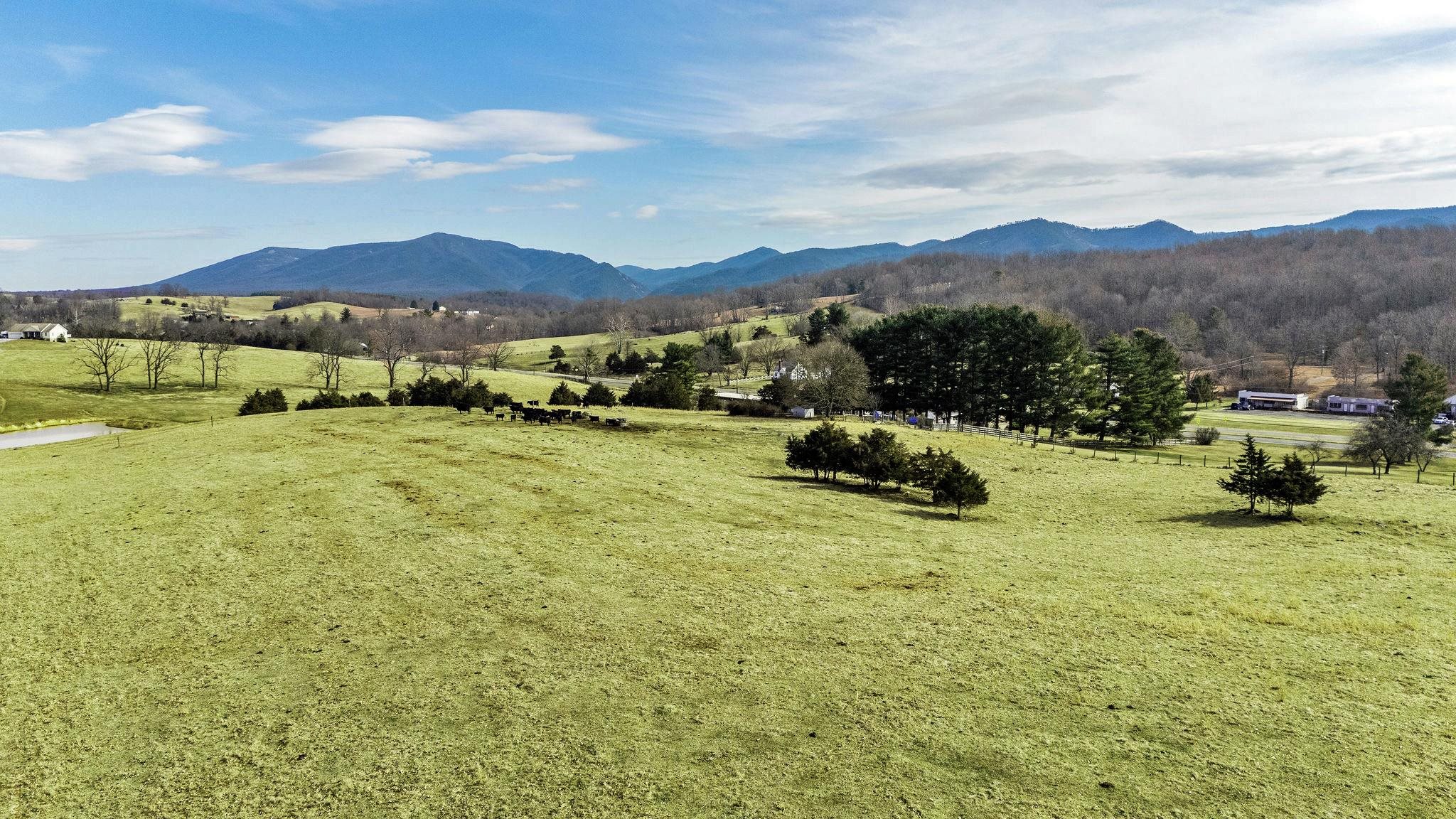 16.12 ac LOT 2 Lee Hwy N