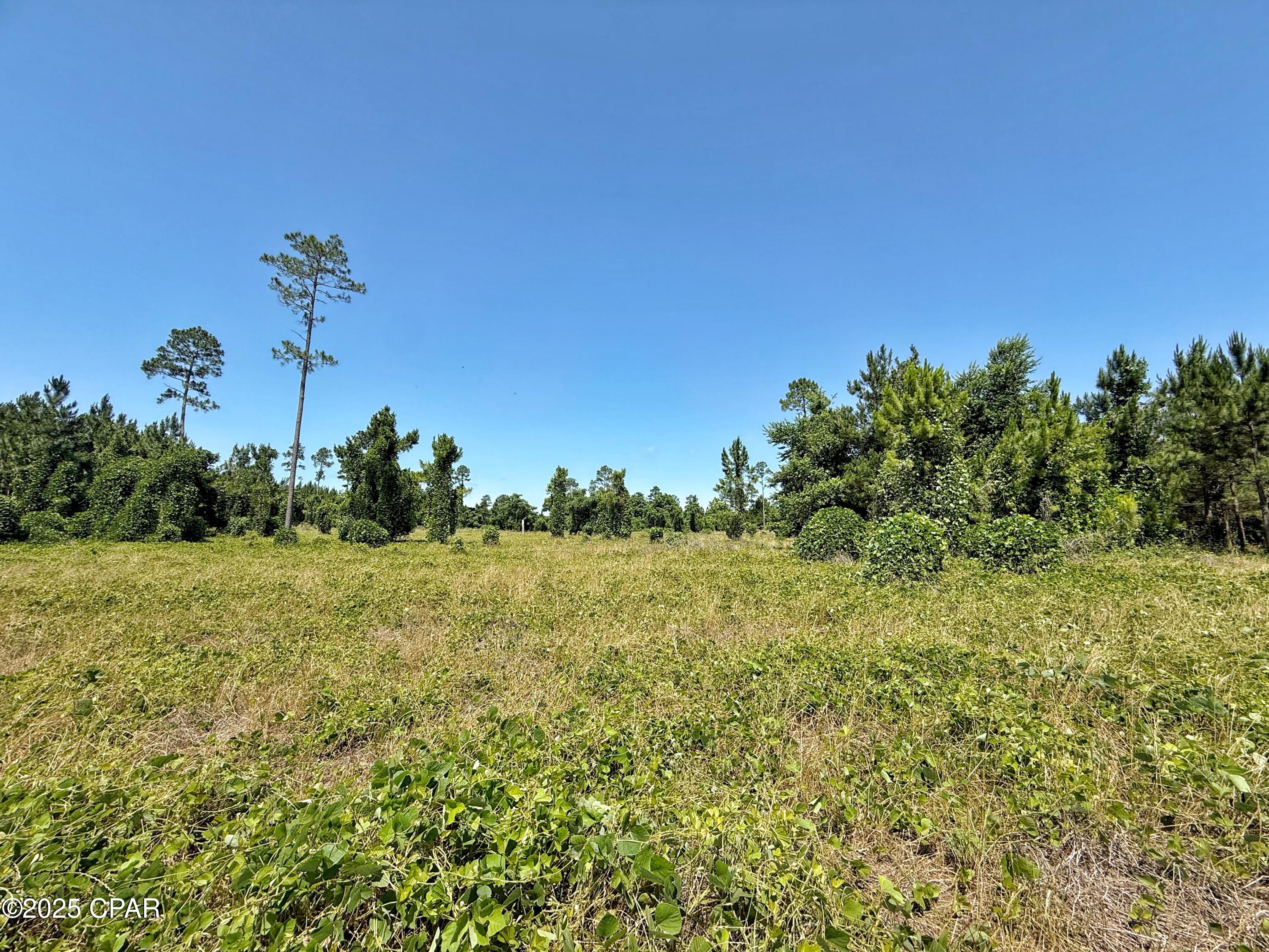 Image 3 For 00 Solitaire Trail