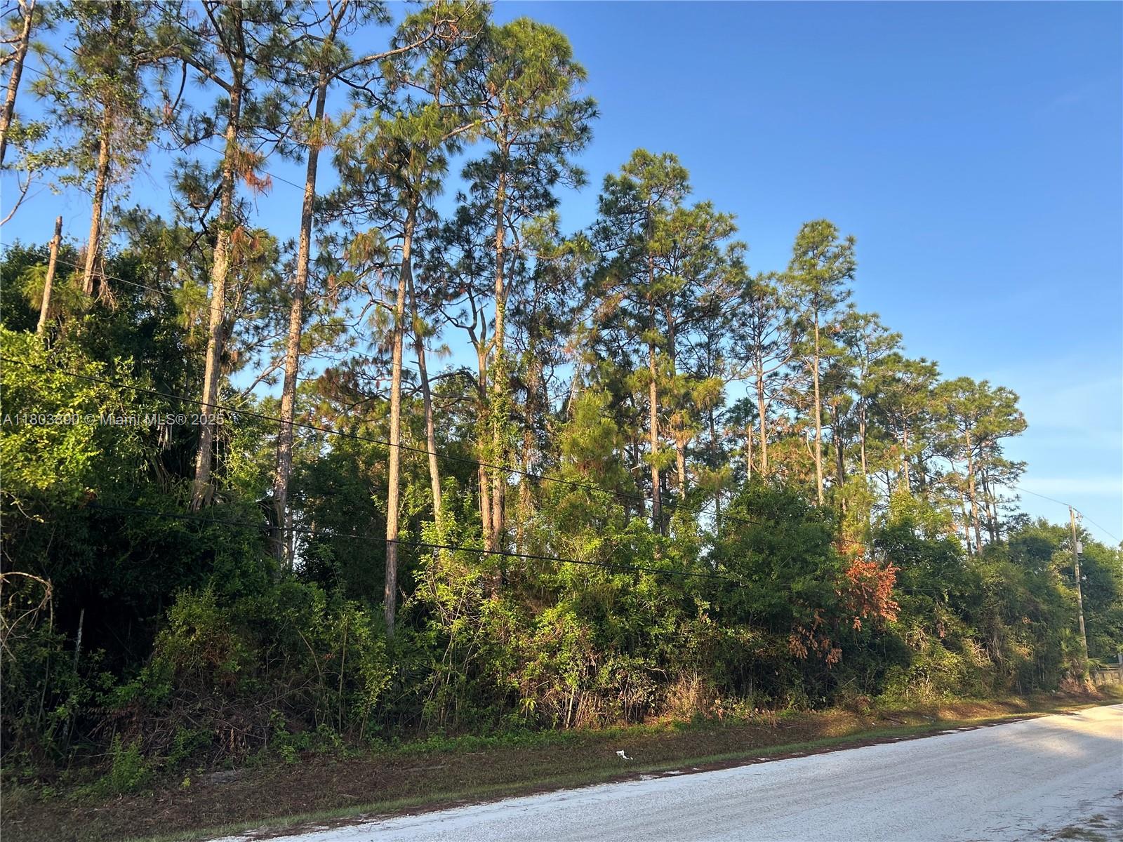 17354 75th Pl N, Loxahatchee, Florida 33470