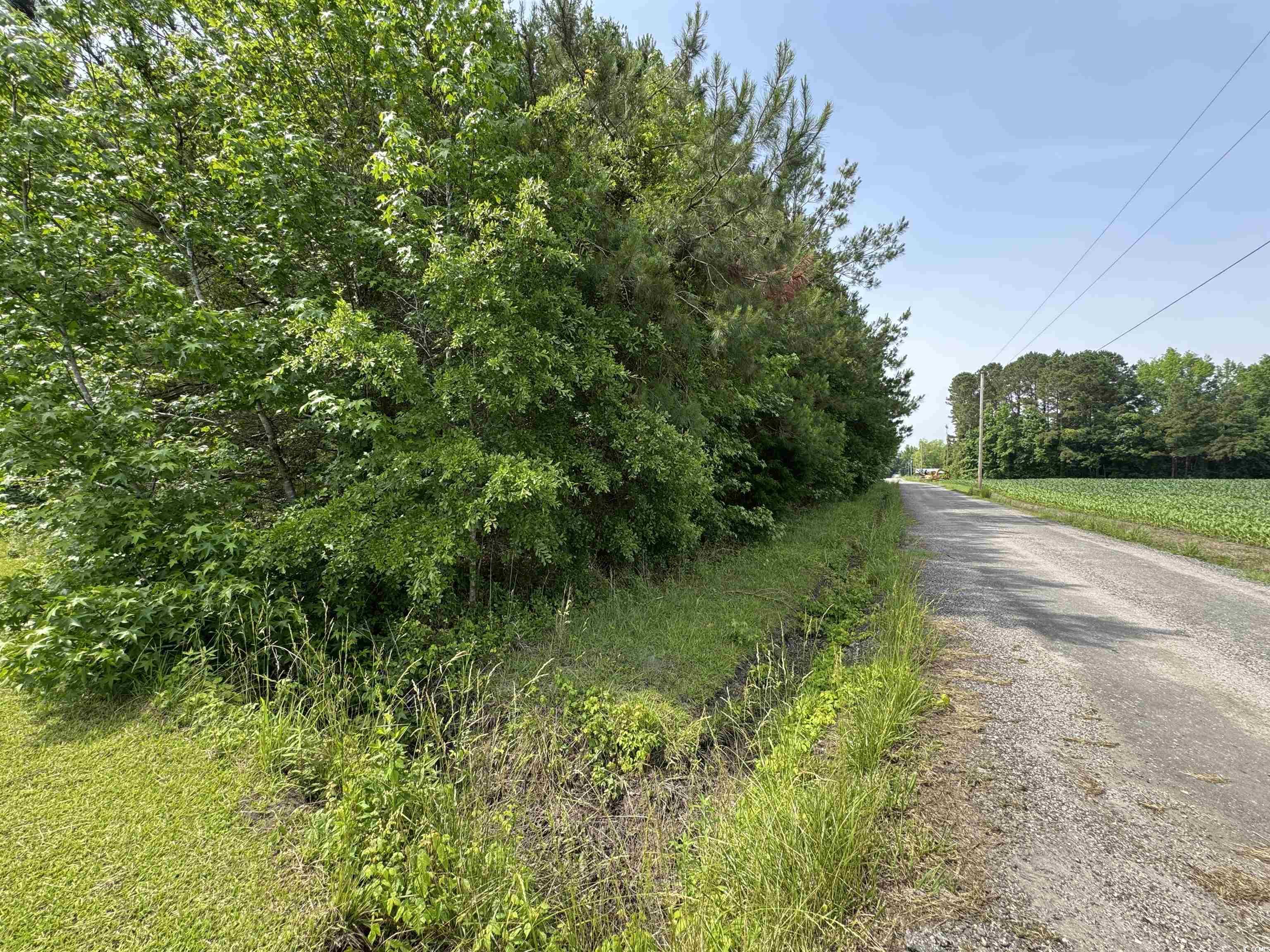 TBD Birchfield Dr. Loris, SC 29569
