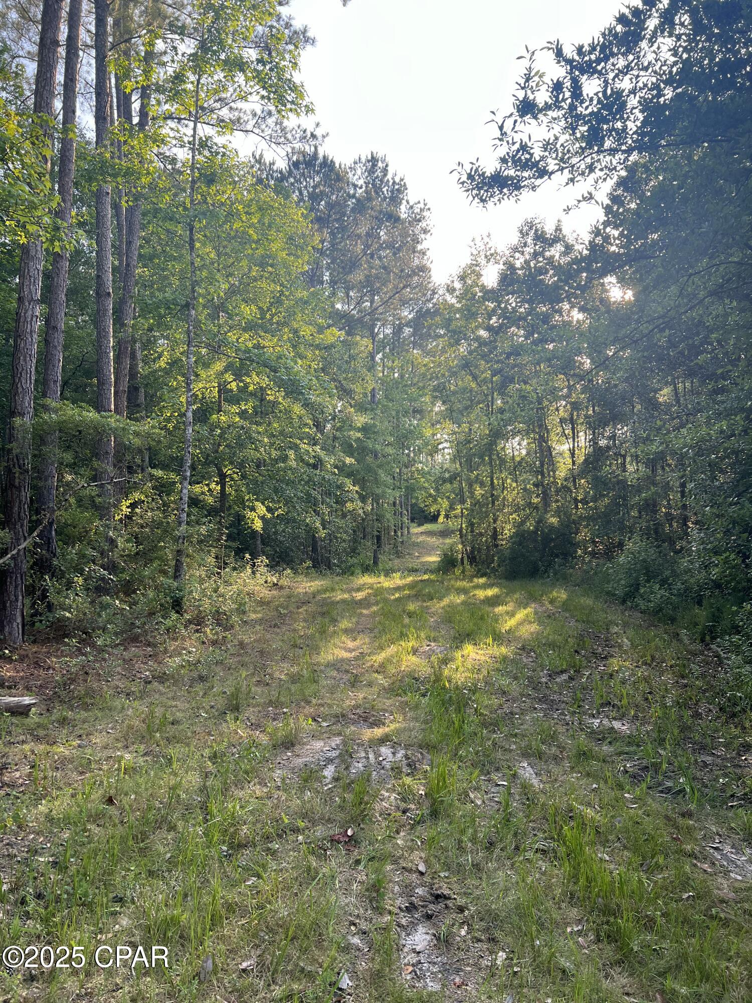 Image 10 For 1750 Turkey Oak Trail