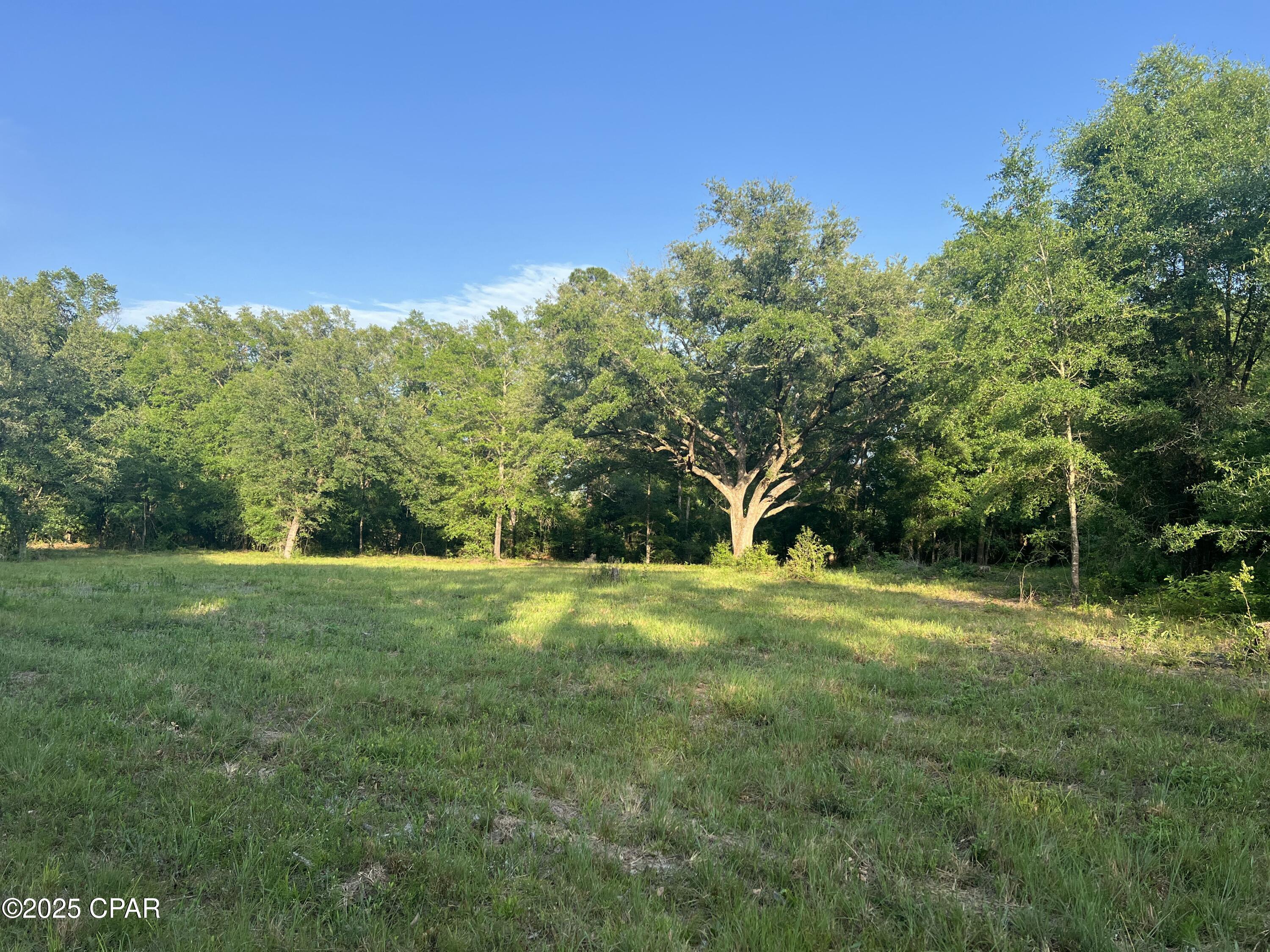 Image 21 For 1750 Turkey Oak Trail