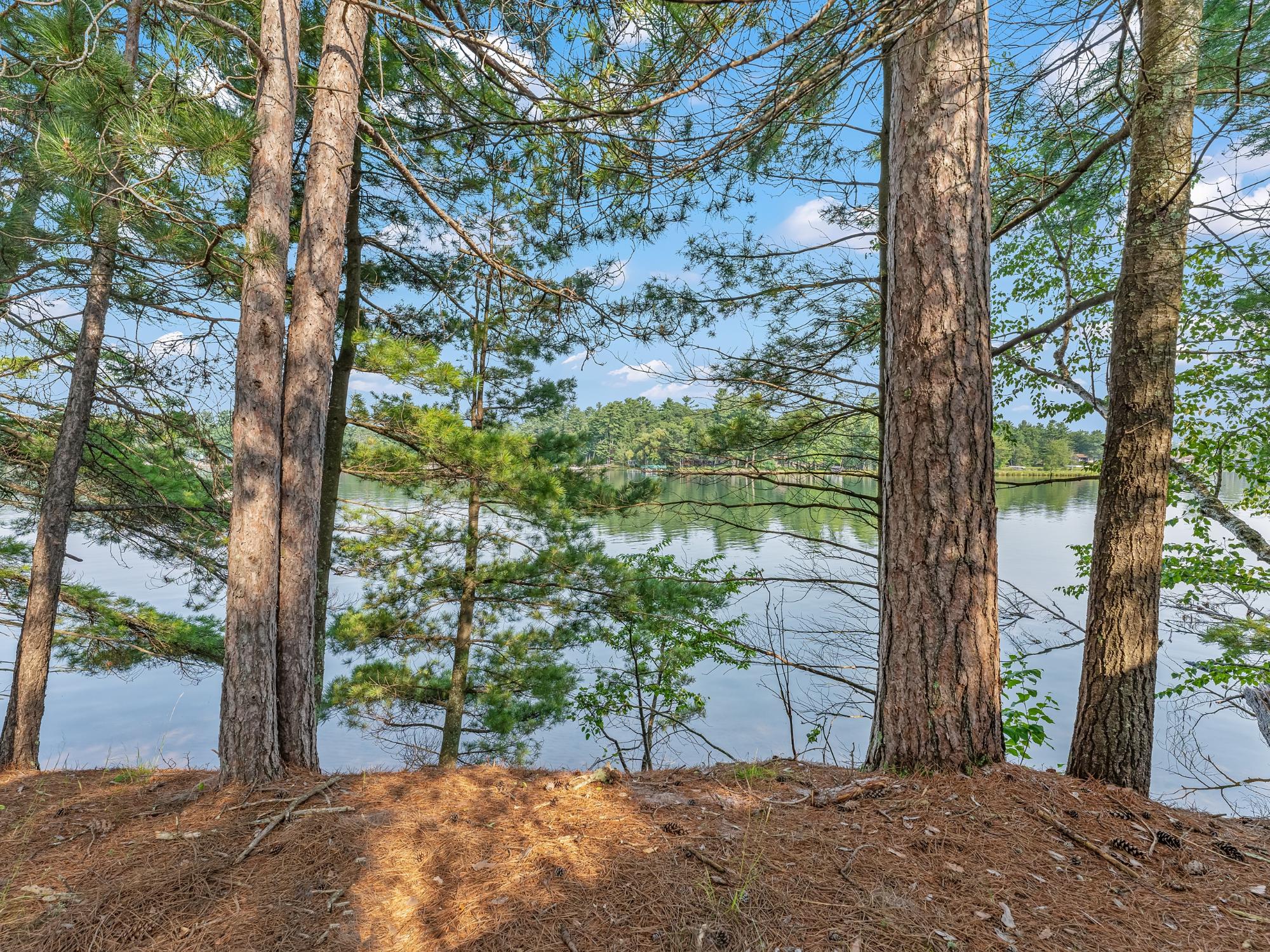 Minocqua Lake Property 9485 Devine Is Photo 42