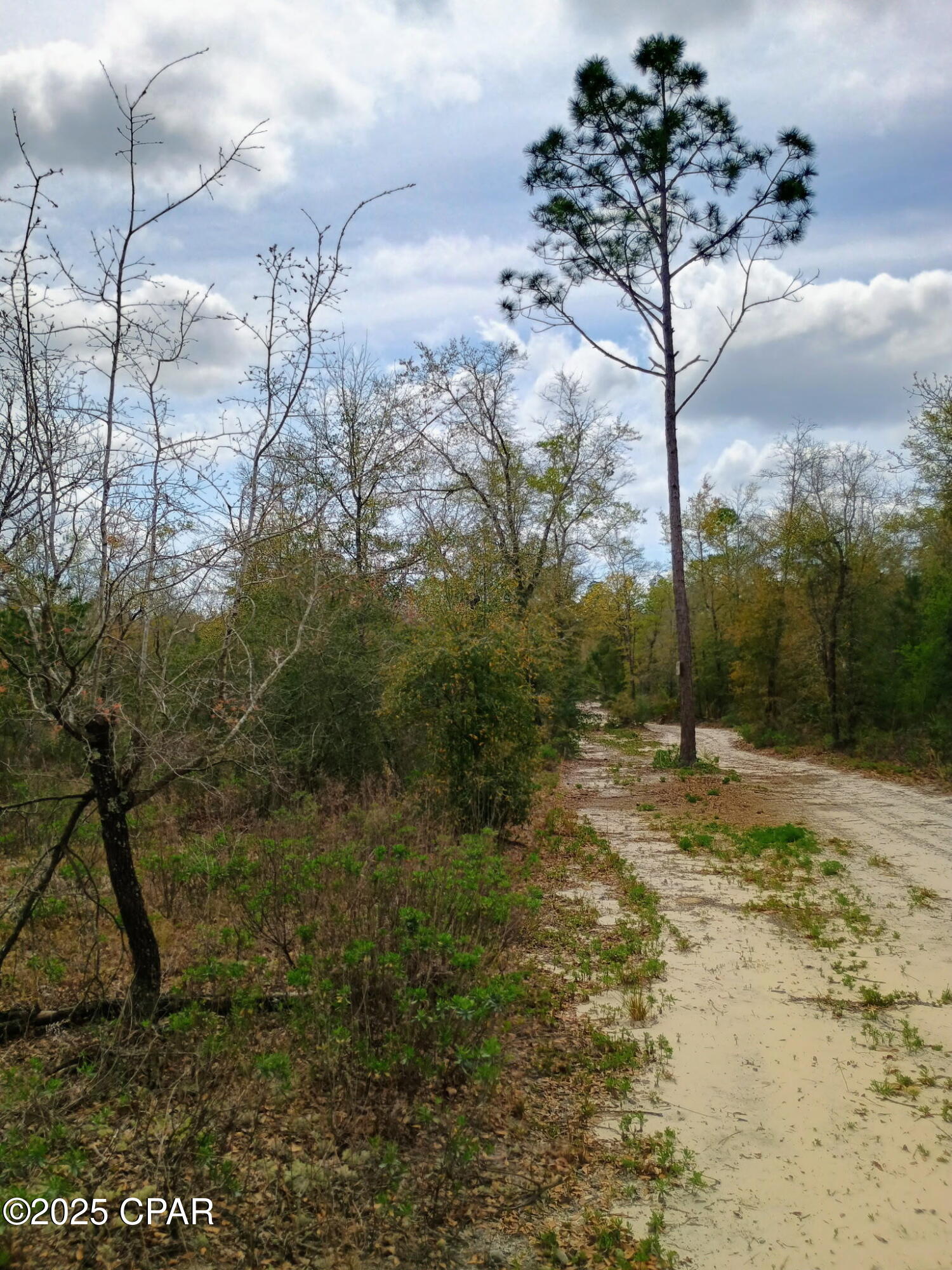 Image 11 For 000 Dickerson Road