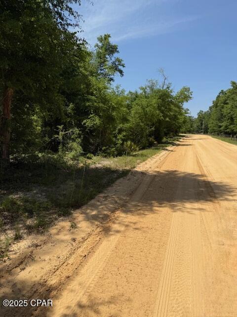 Image 3 For 000 Dickerson Road