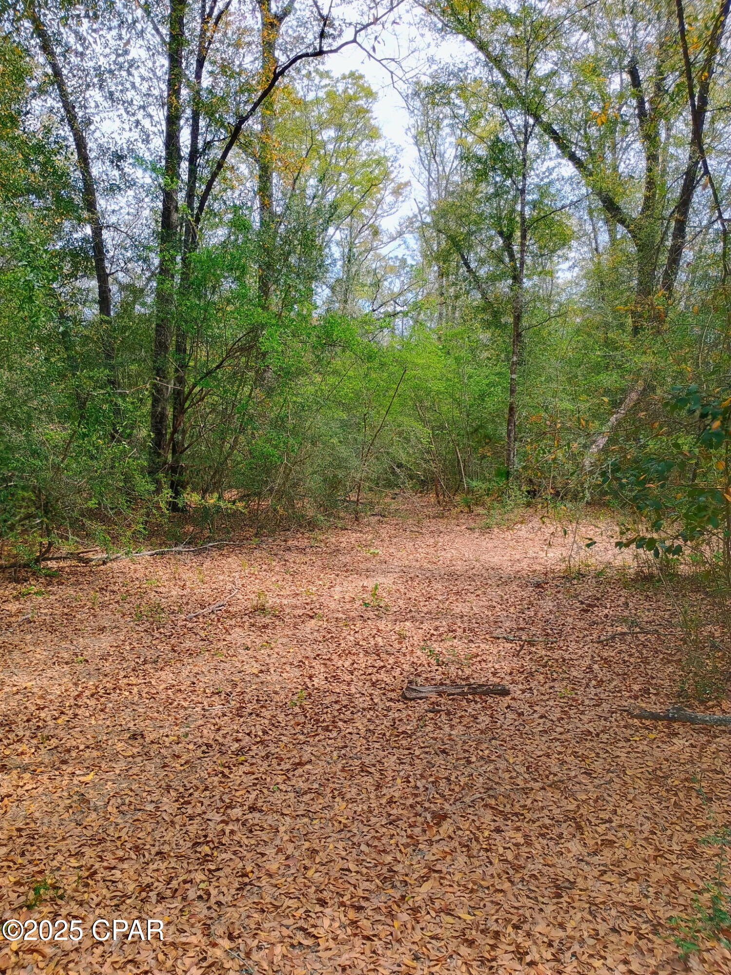 Image 6 For 000 Dickerson Road