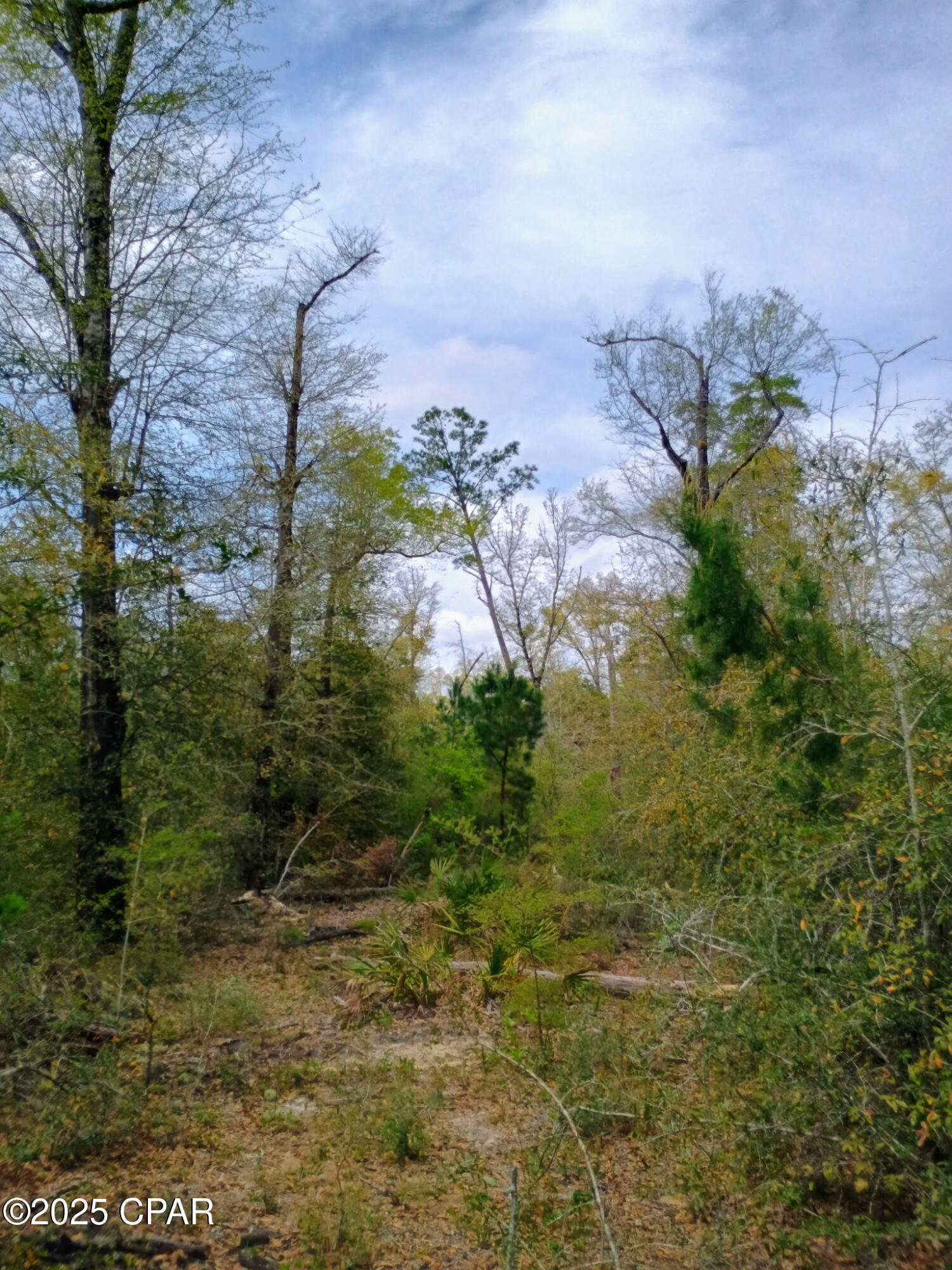 Image 8 For 000 Dickerson Road