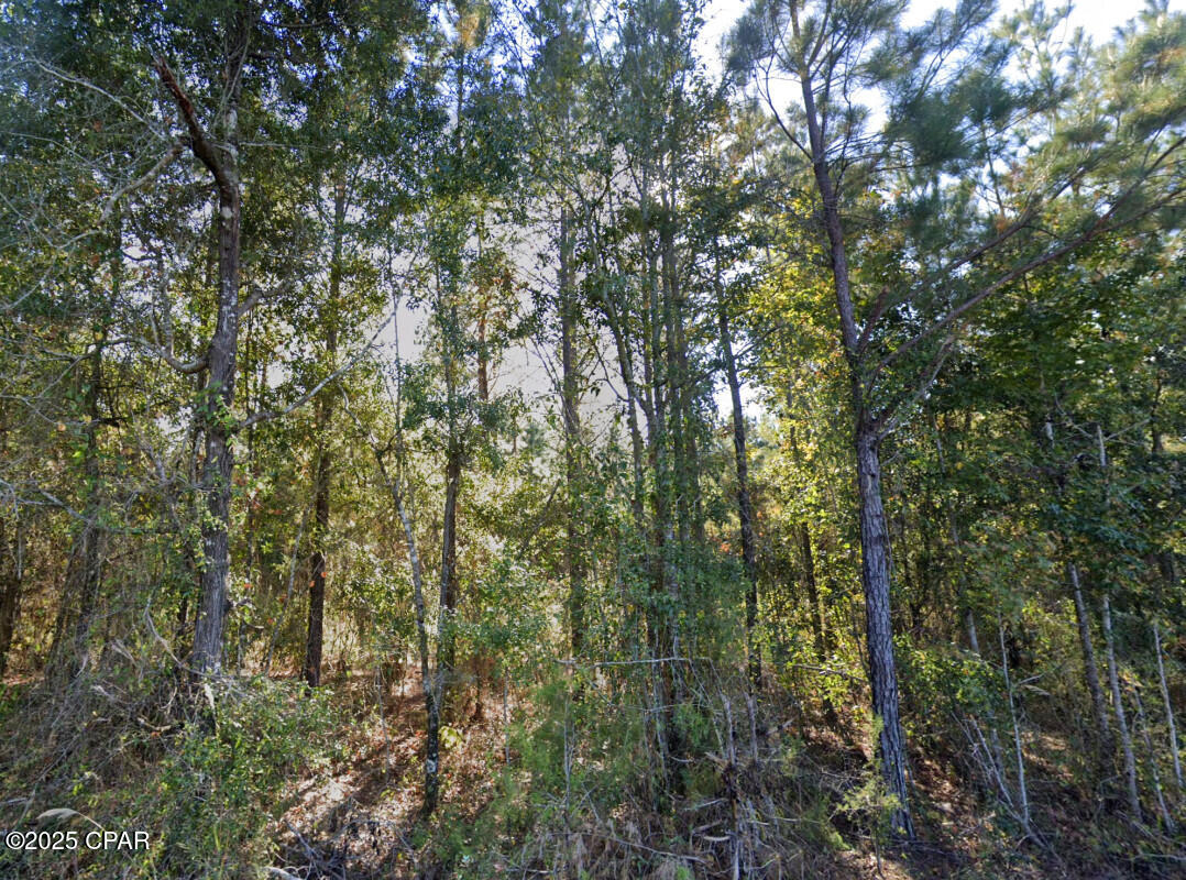 Image 10 For 0 Plantation Circle