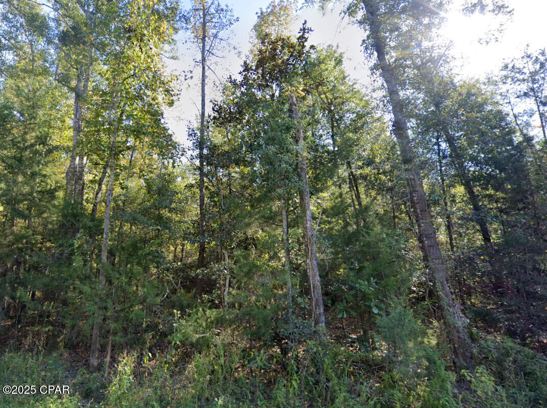 Image 7 For 0 Plantation Circle