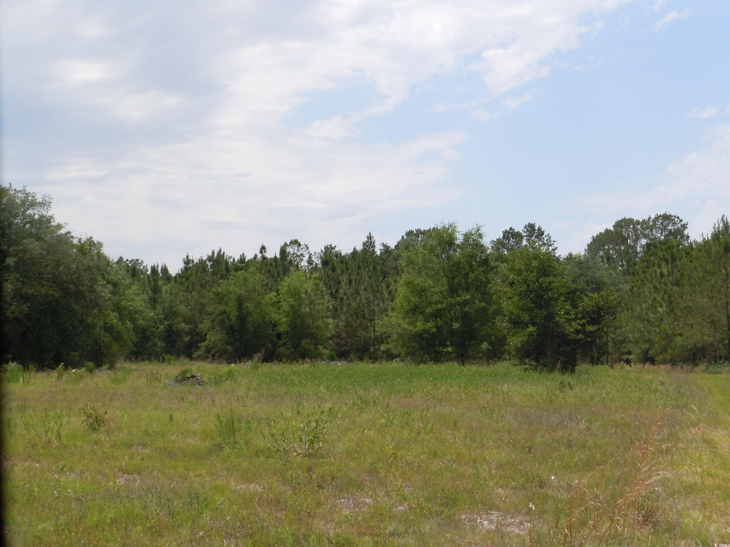 1940 Barts Rd. Loris, SC 29569