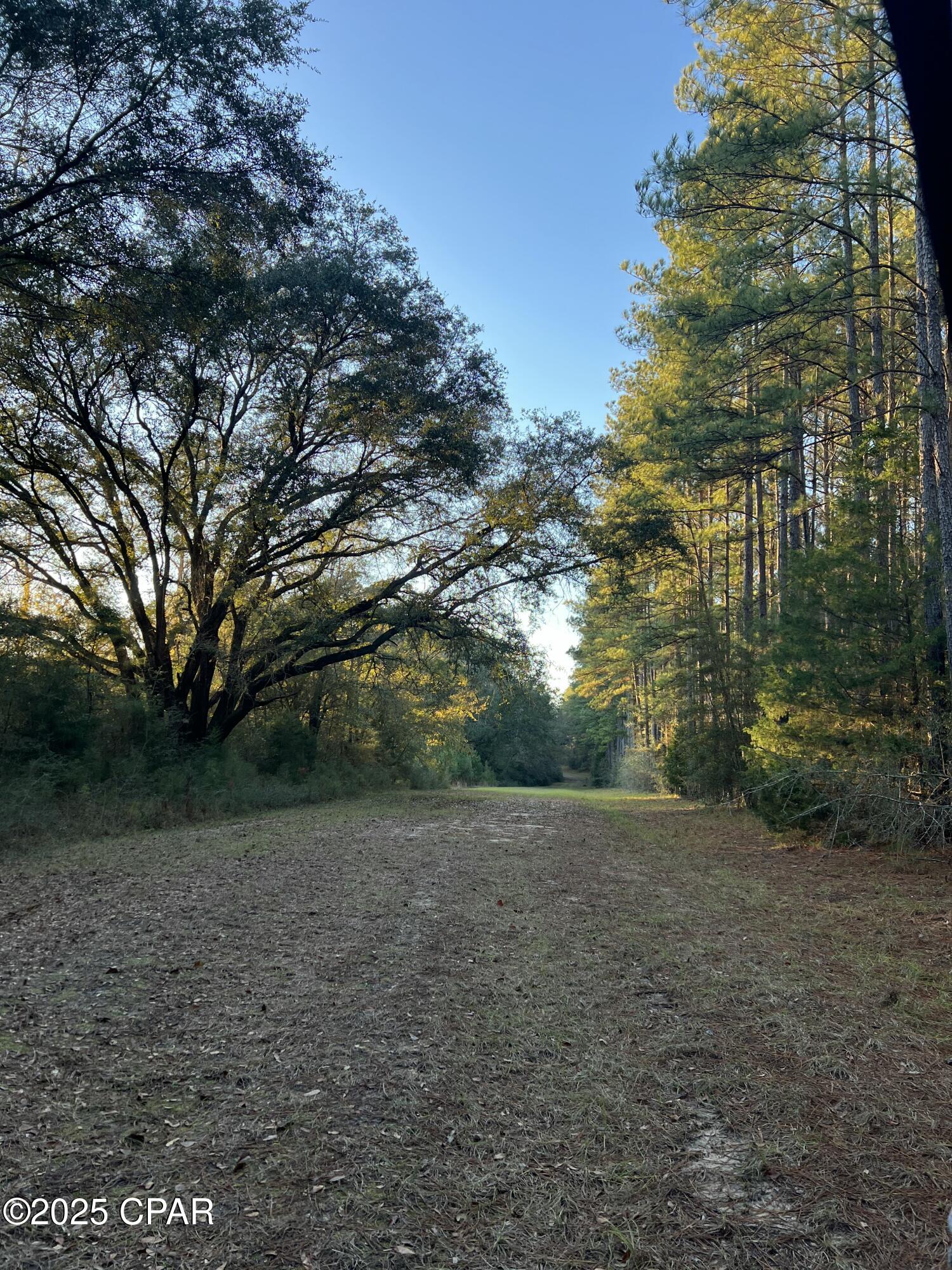 Image 3 For 12d White Oak Lane