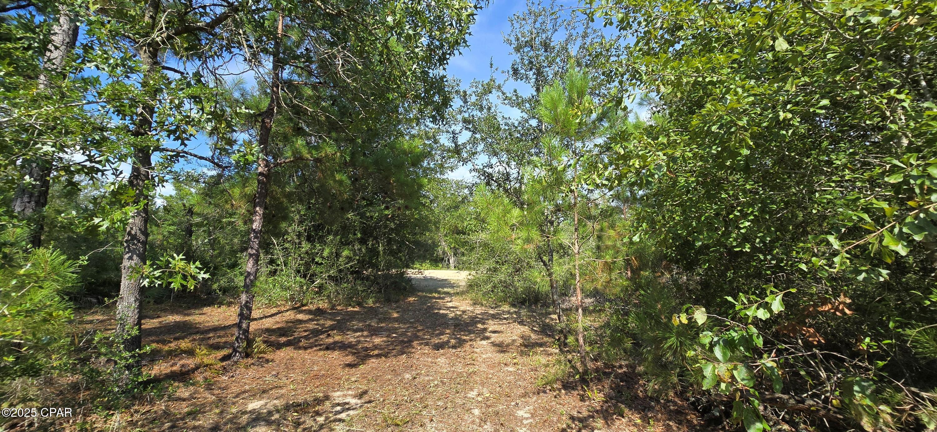Image 13 For 0 Joy Avenue
