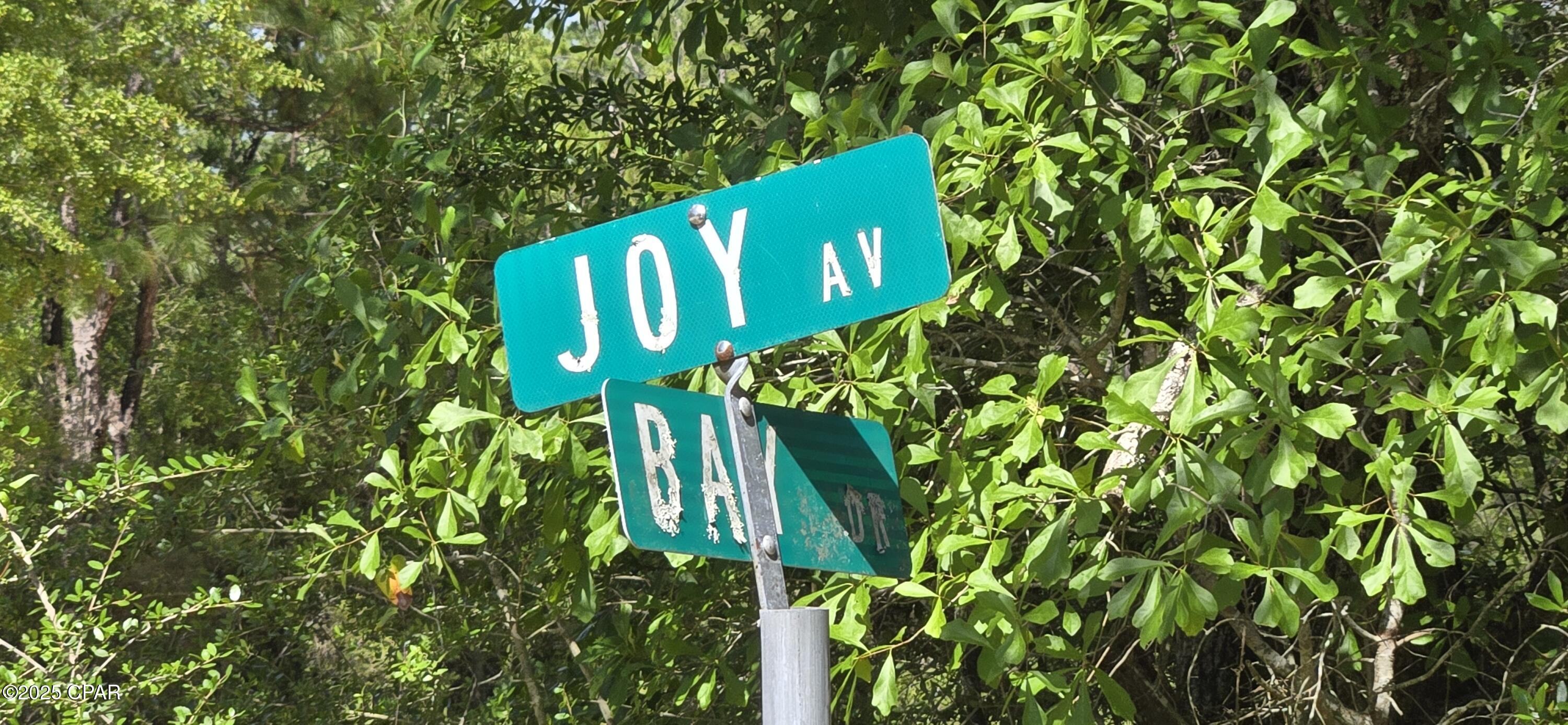 Image 4 For 0 Joy Avenue