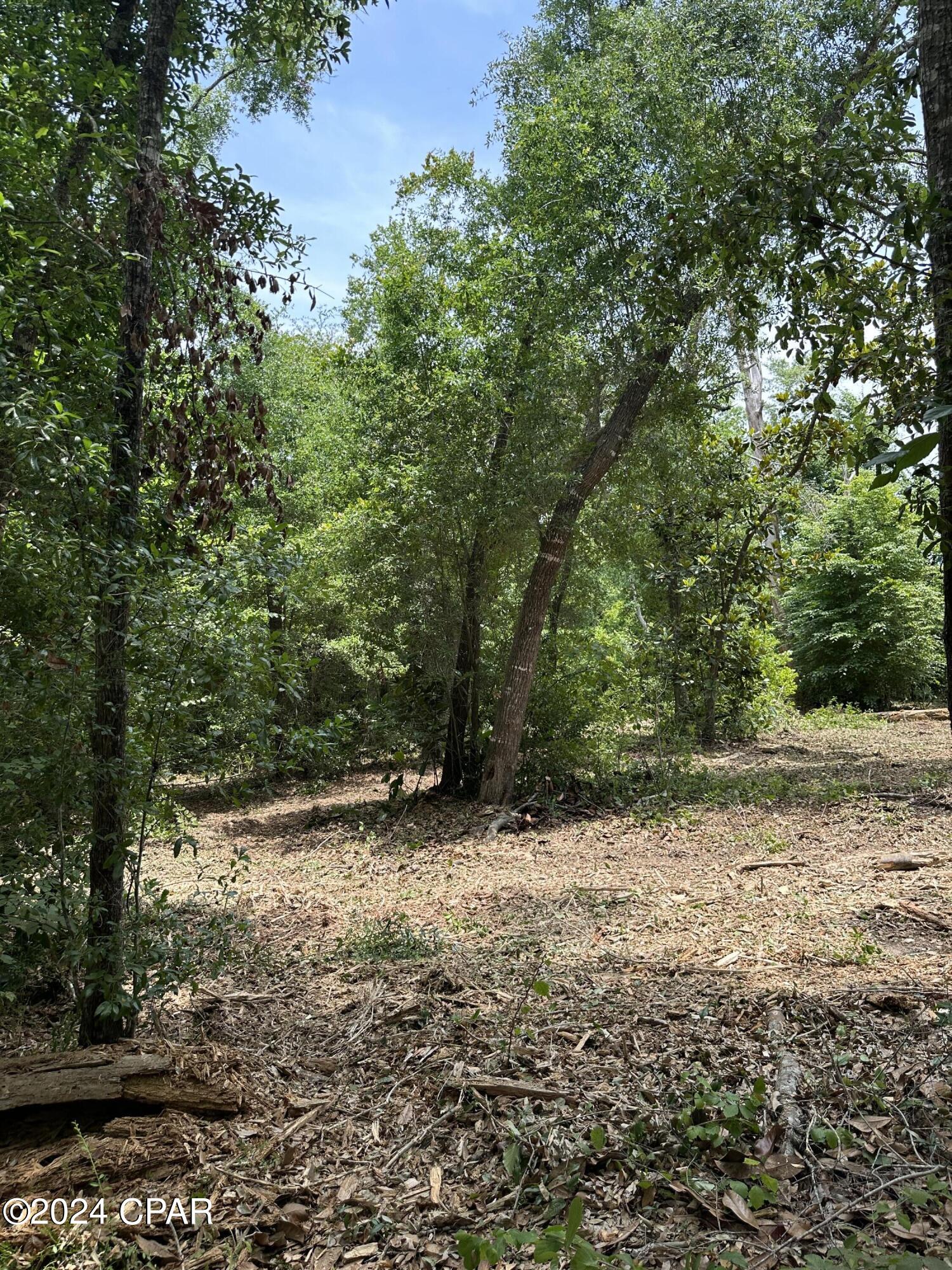 Image 22 For 35 Indian Bluff Drive