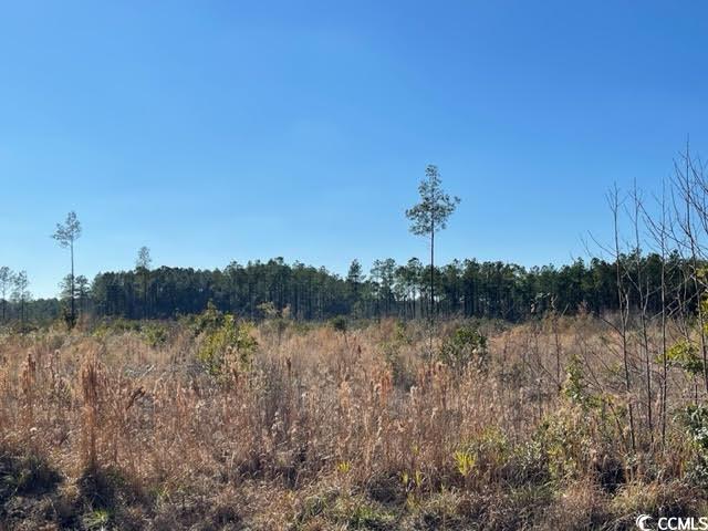 1279 Cheyenne Rd. Conway, SC 29526