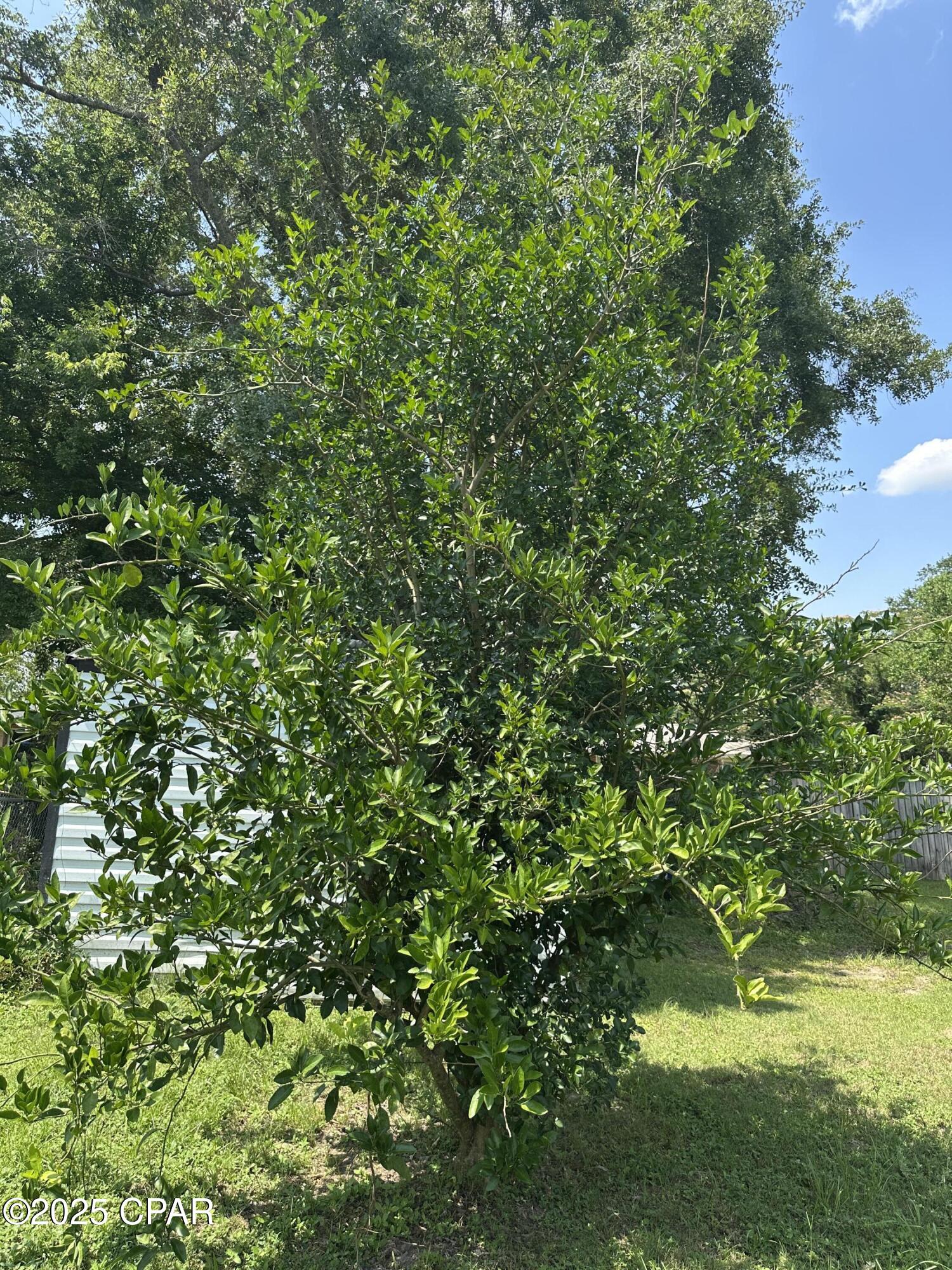 2586 Mckinnon Street, Cottondale, Florida image 24