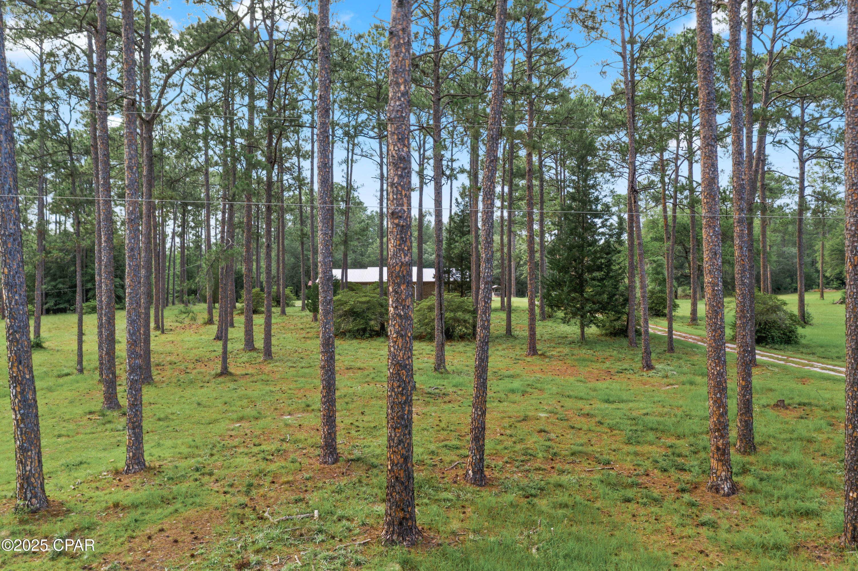 4808 Creek Road Road, Vernon, Florida image 13
