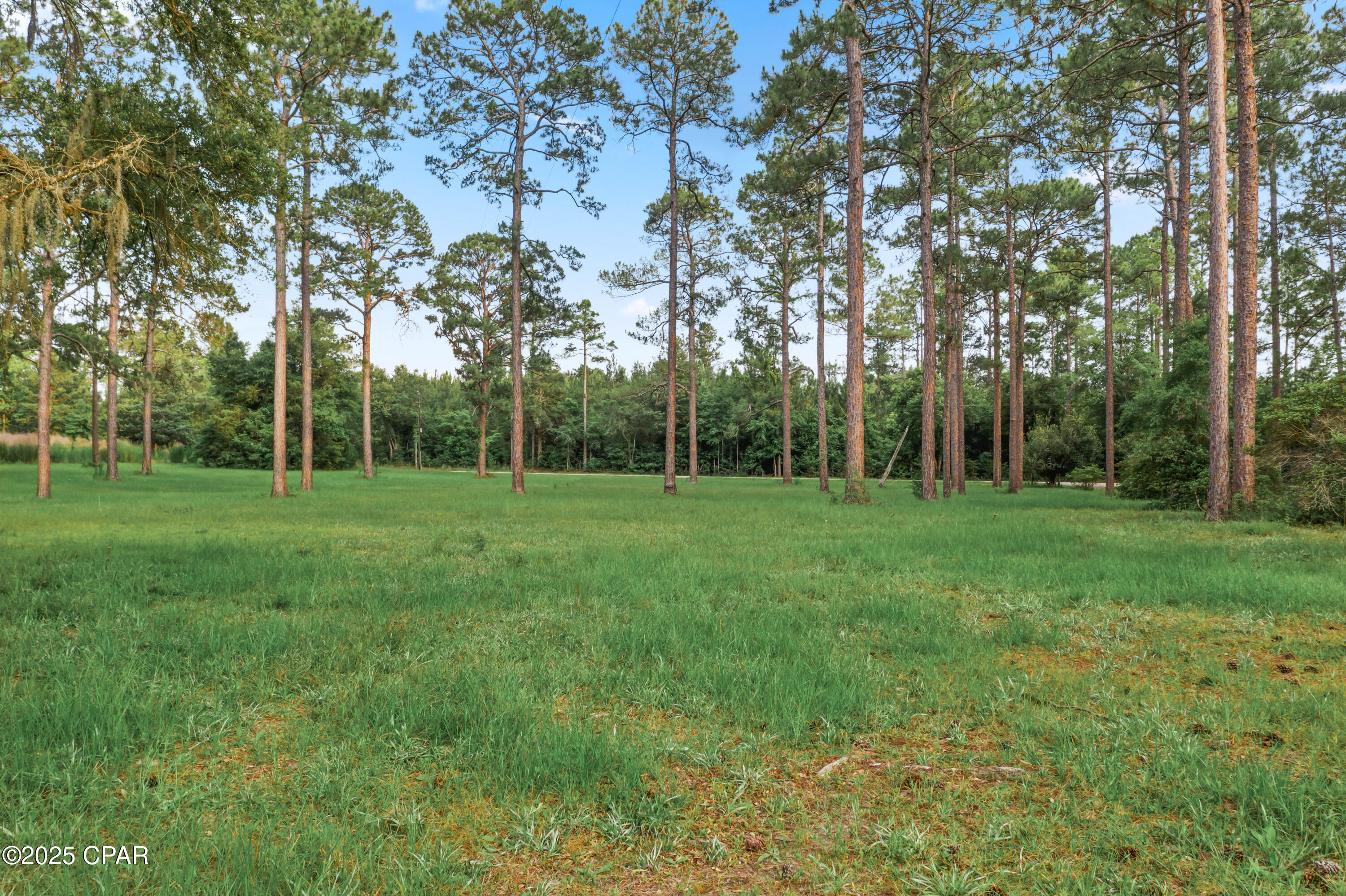 4808 Creek Road Road, Vernon, Florida image 24