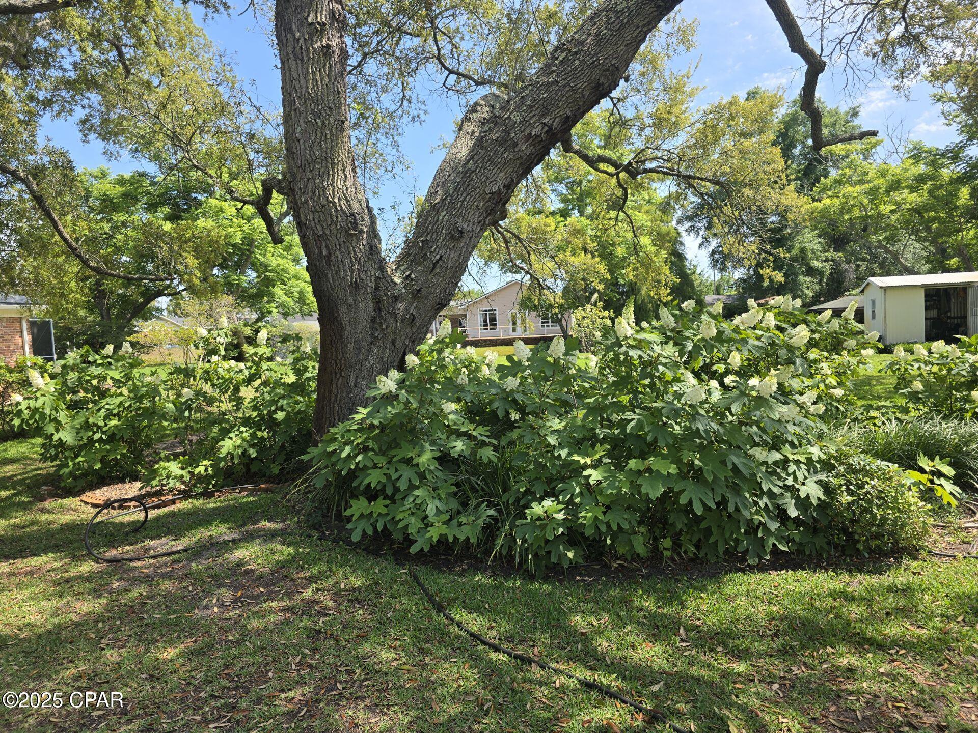 Image 77 For 2457 Pretty Bayou Circle