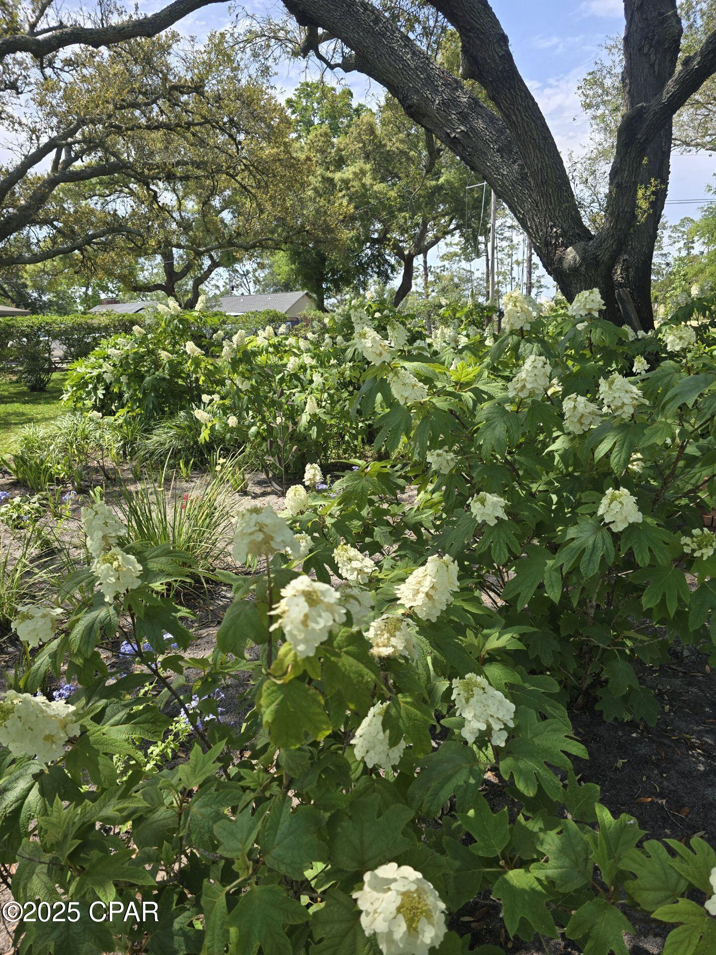 Image 78 For 2457 Pretty Bayou Circle