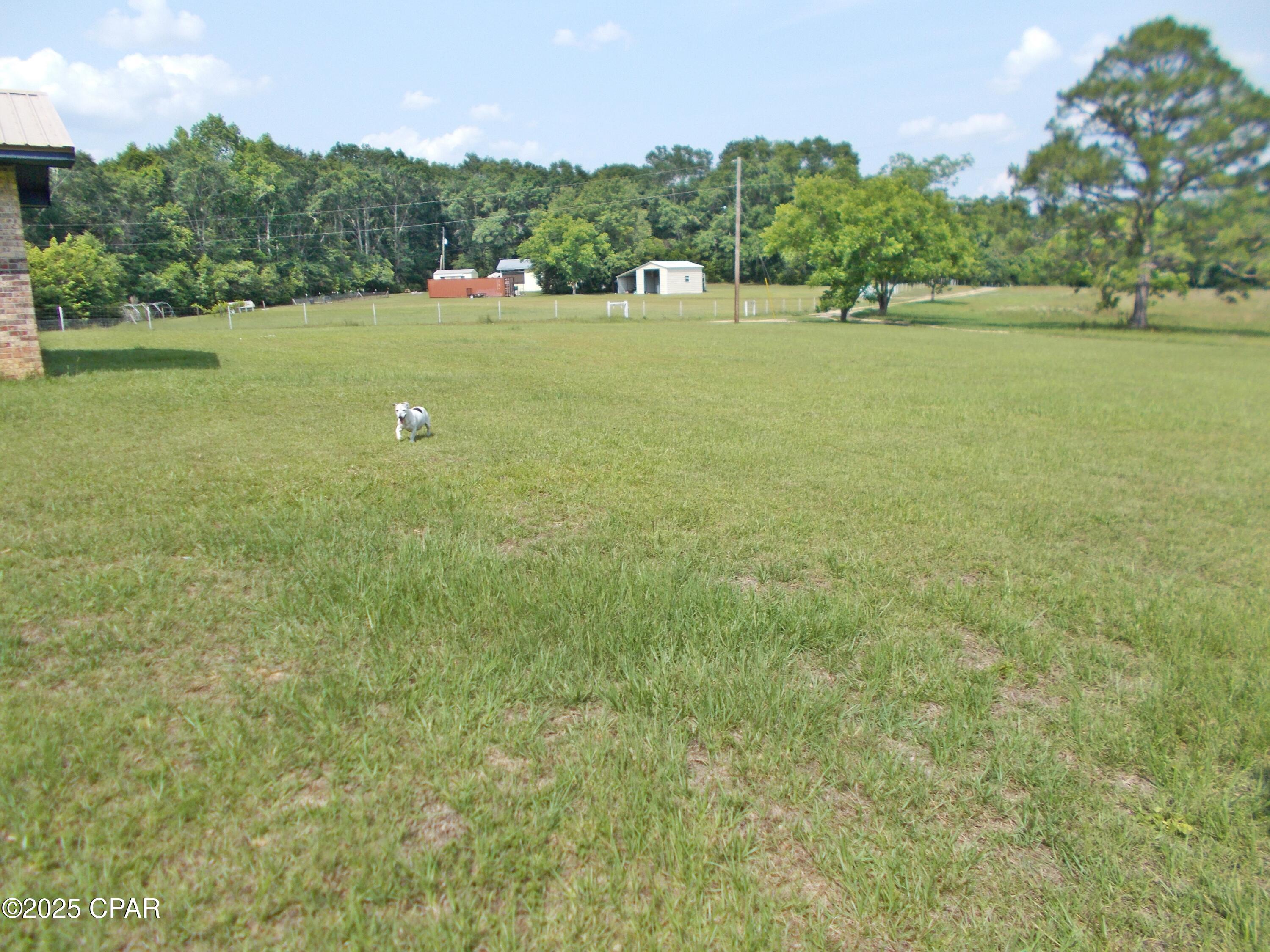 890 Vann Lane, Graceville, Florida image 14