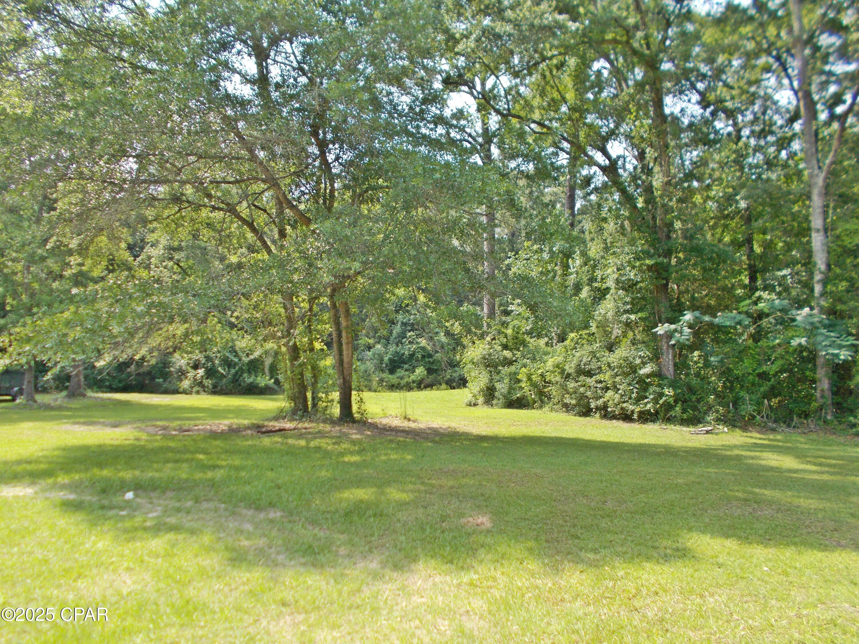 890 Vann Lane, Graceville, Florida image 17