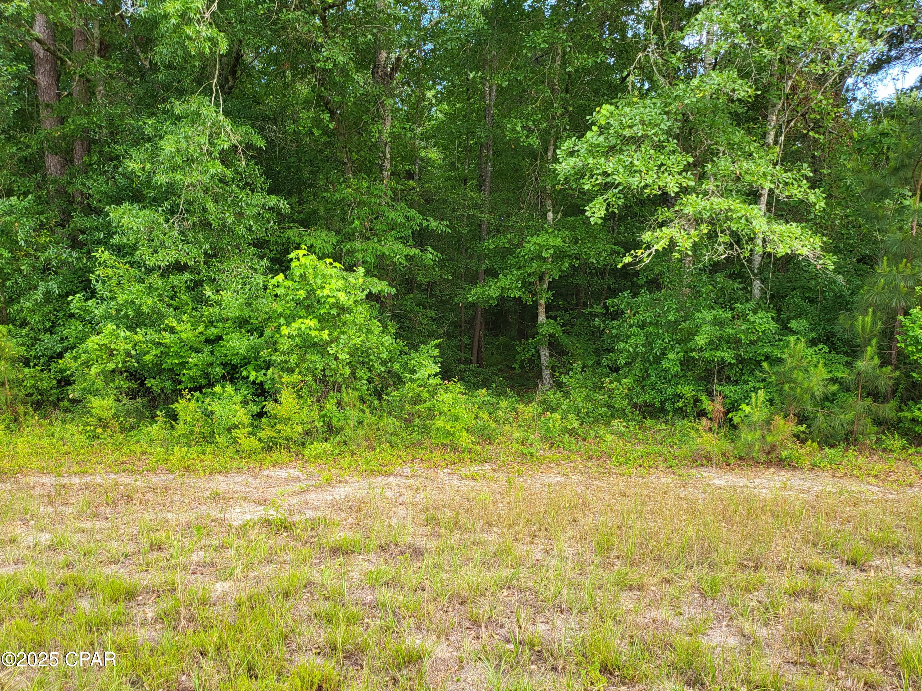 Image 5 For 4597 Fowler Road