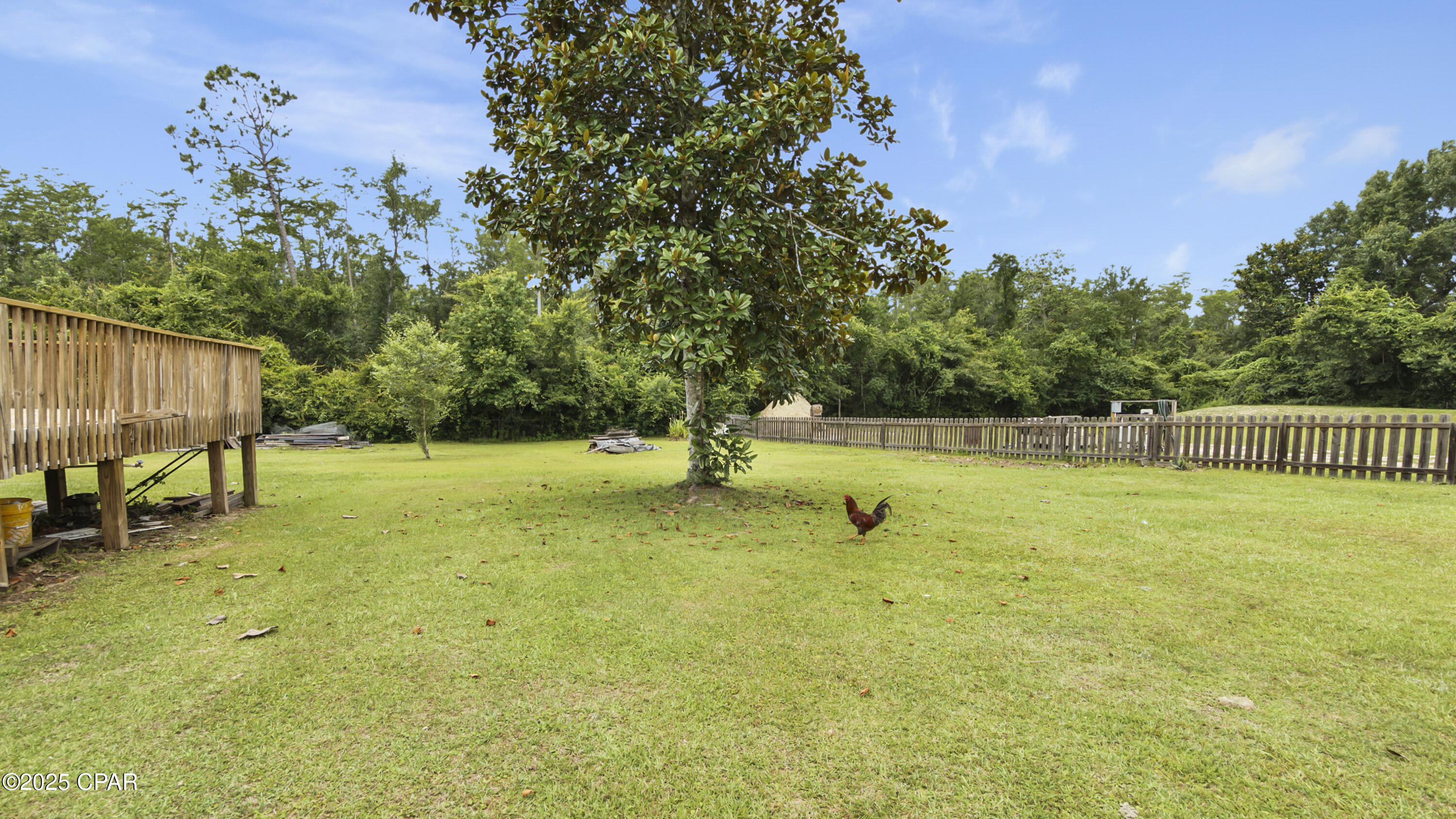 8819 Kiwi Lane, Youngstown, Florida image 33