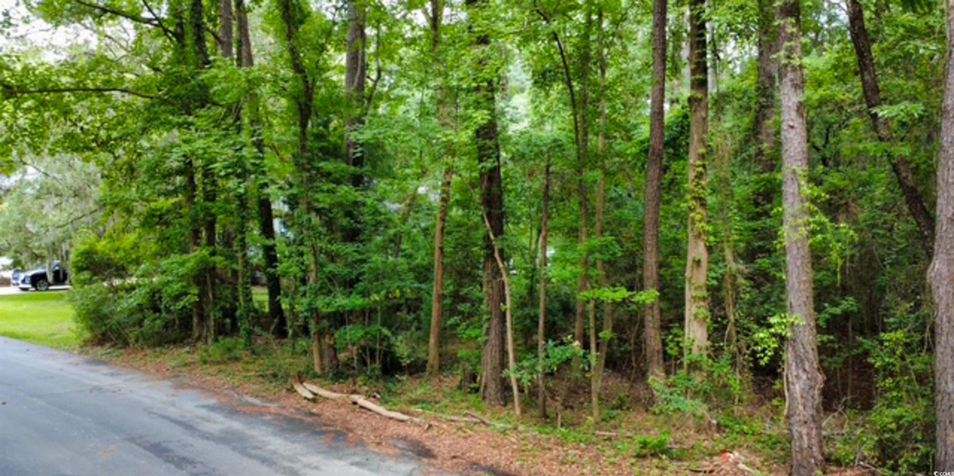 189 William Screven St. Georgetown, SC 29440