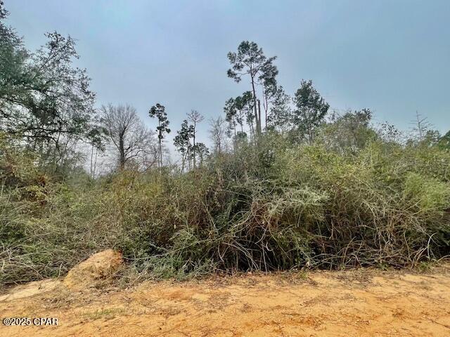 Image 1 For 0 Tamarac Road