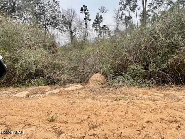 Image 3 For 0 Tamarac Road
