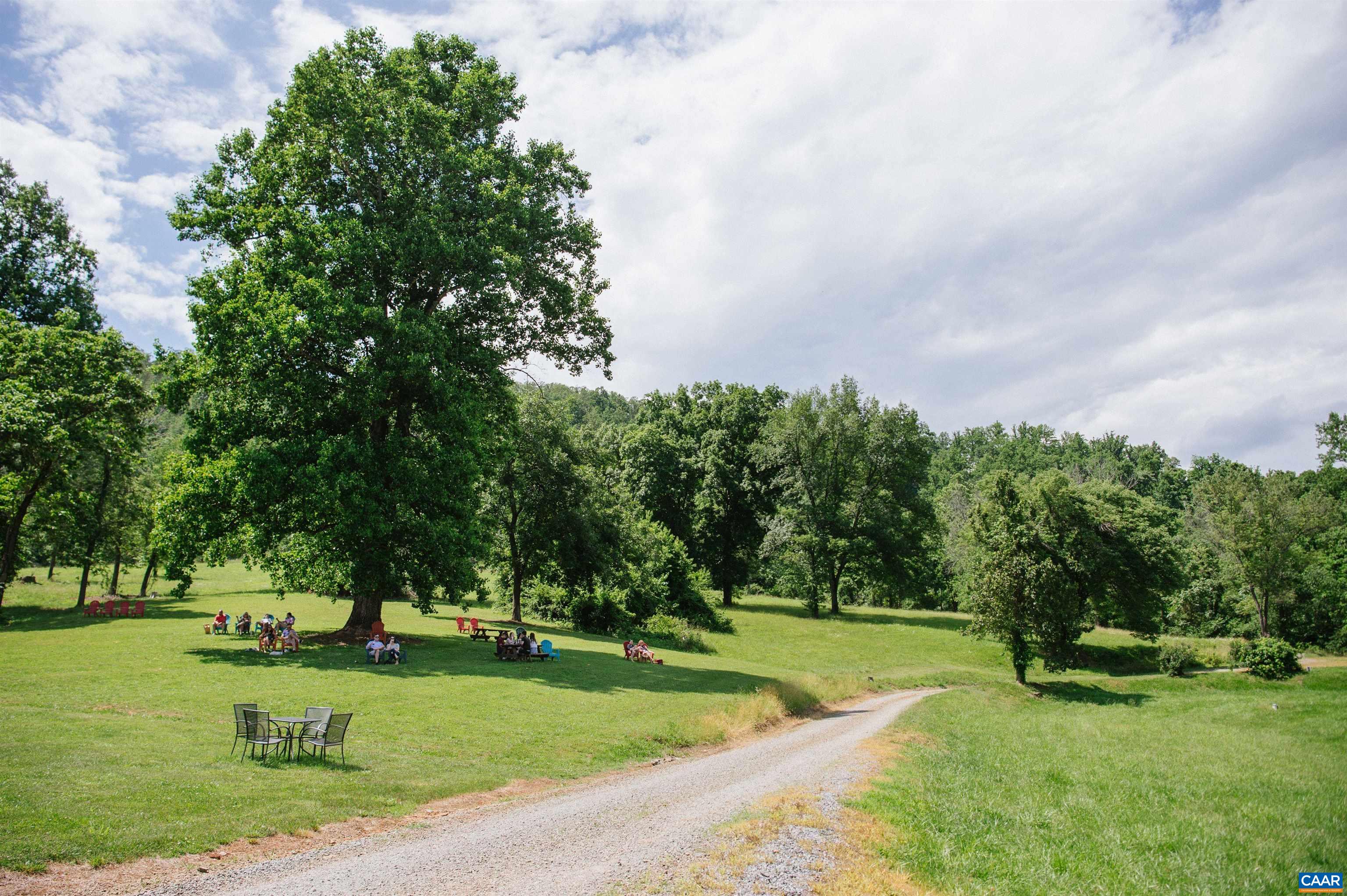 Rare opportunity: Wisdom Oak Winery, a stunning 126-acre estate in North Garden, Albemarle County, offered at $3,900,000. Just 20 minutes south of Charlottesville, this serene property boasts a mature 5-acre vineyard on prime soil, recognized by multiple Virginia Governor’s Cup awards for premium wine. The operational winery, fully equipped with modern facilities and a welcoming tasting room, offers a turnkey operation for enthusiasts or investors. A charming 1900 historic log cabin provides cozy living or hospitality space, blending rustic charm with updated amenities. Outdoor features include a spacious entertainment patio, dedicated bridal cabin, storage garage, and picturesque pond. Enjoy breathtaking panoramic views and an incredibly peaceful, private setting. Exceptional potential to build your dream home on multiple elevated sites with sweeping countryside views. Whether seeking a quiet retreat, a vineyard estate, or a blend of business and lifestyle, Wisdom Oak Winery provides a unique canvas. This exceptional property combines rural tranquility with easy access to Charlottesville's cultural and urban amenities. Don’t miss this beautiful and versatile vineyard estate.