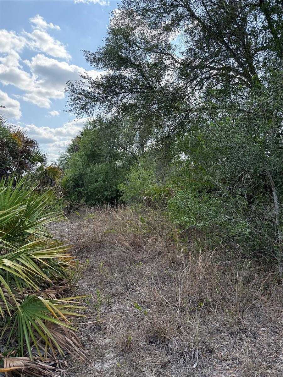 120 N Verda St, Clewiston, Florida image 18