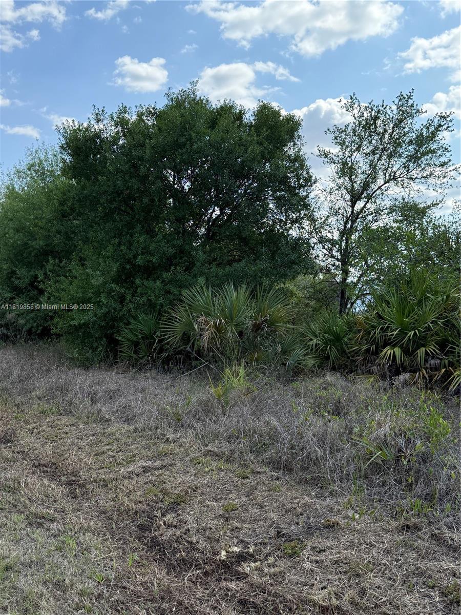 120 N Verda St, Clewiston, Florida image 6