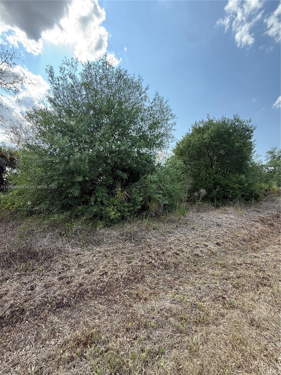 120 N Verda St, Clewiston, Florida image 7