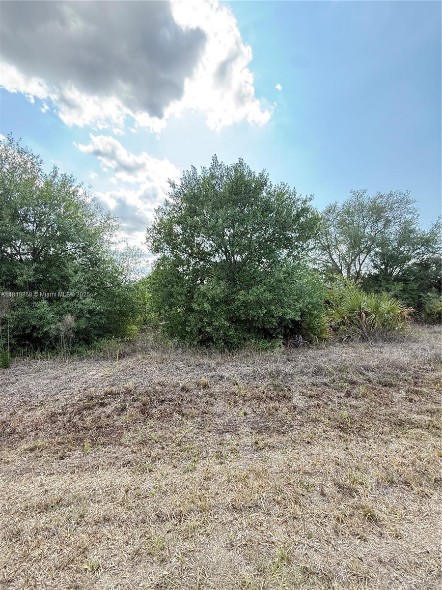 120 N Verda St, Clewiston, Florida image 8