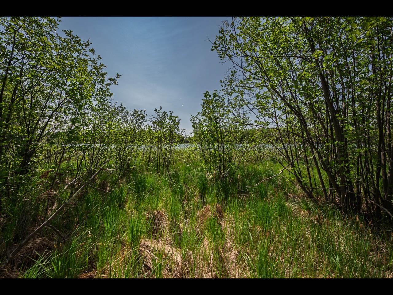 Clearwater Lake Property Lot 12 Kinderhook Tr Photo 10