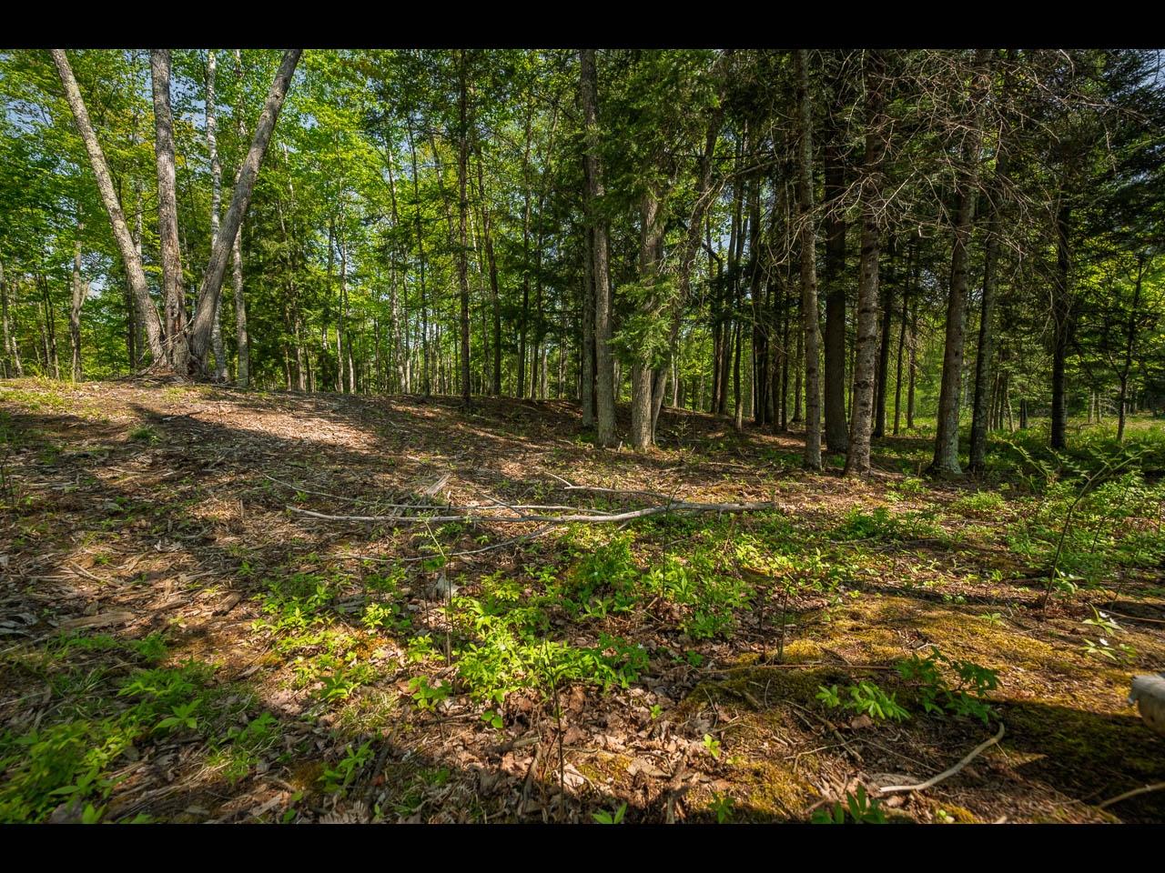 Clearwater Lake Property Lot 12 Kinderhook Tr Photo 11