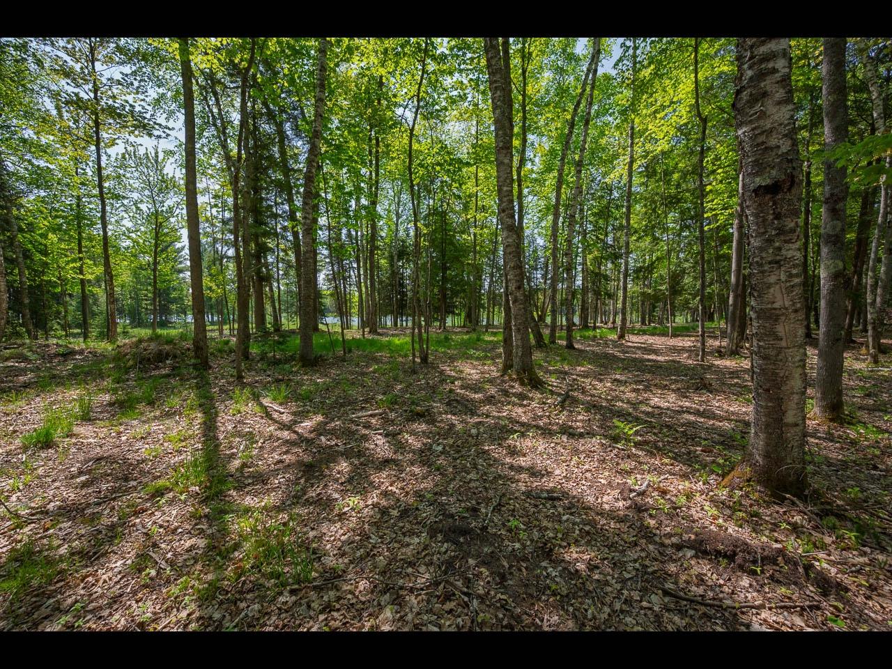 Clearwater Lake Property Lot 12 Kinderhook Tr Photo 5