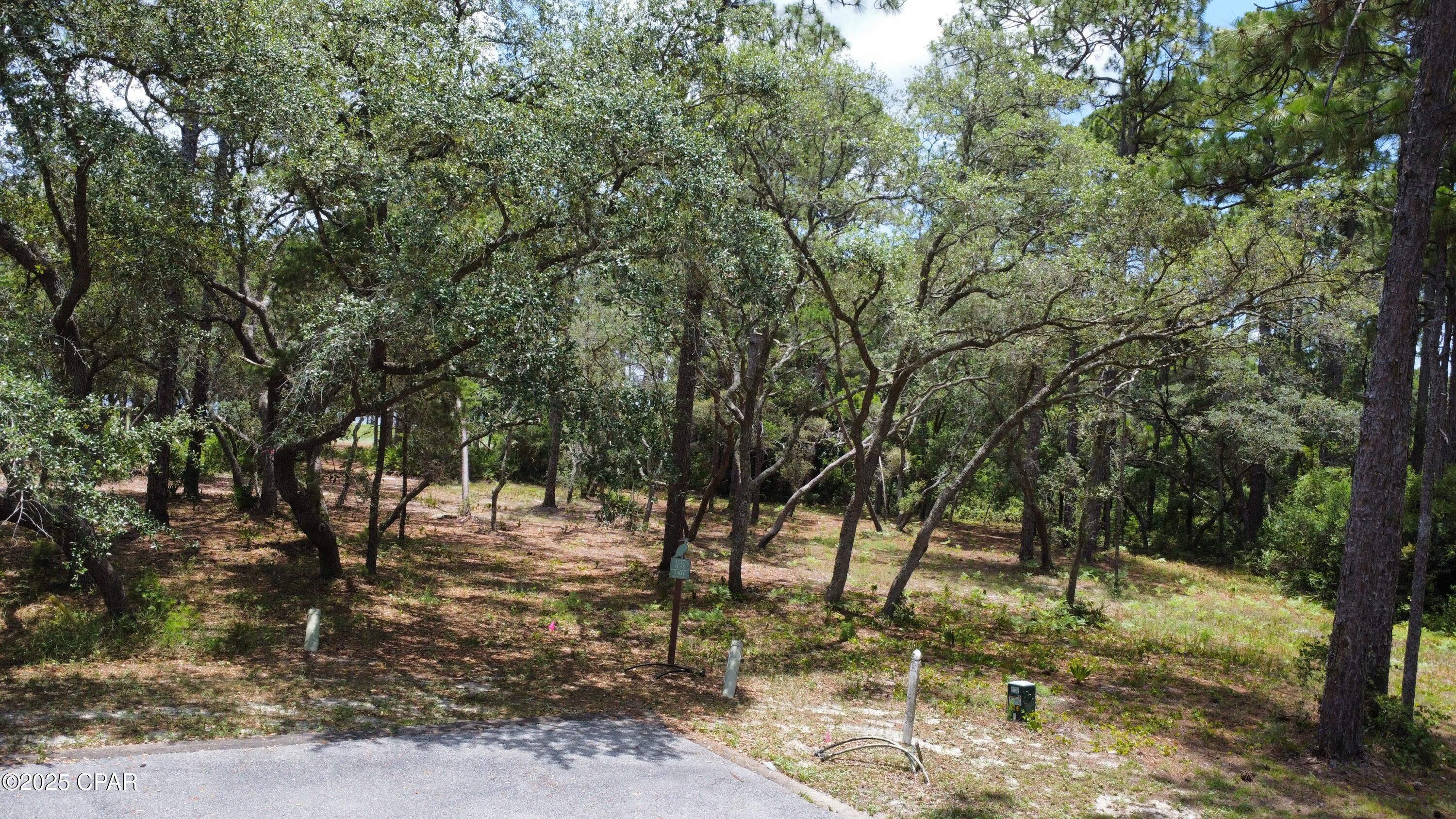 Image 12 For 1401 Turtleback Trail