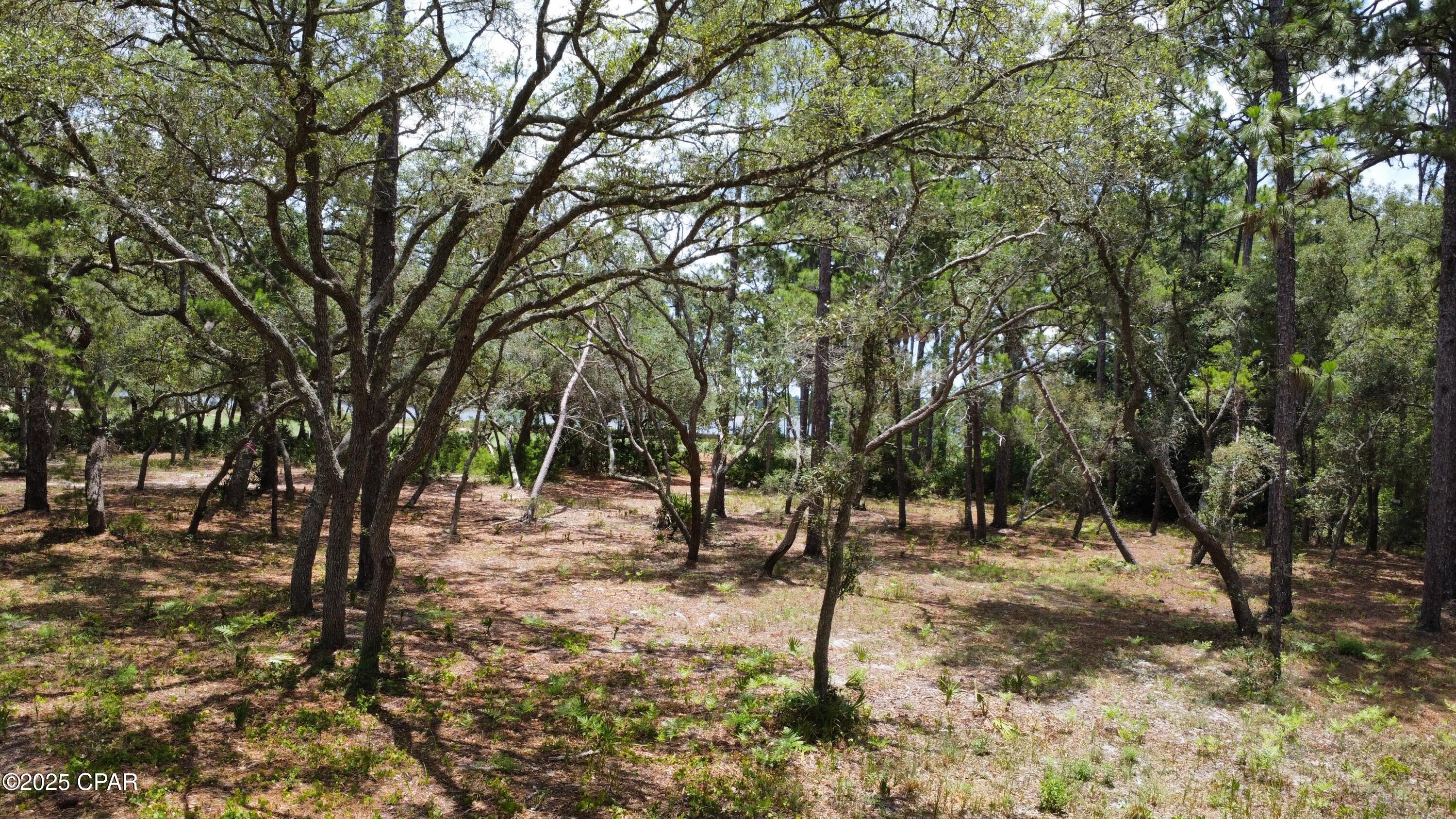 Image 13 For 1401 Turtleback Trail