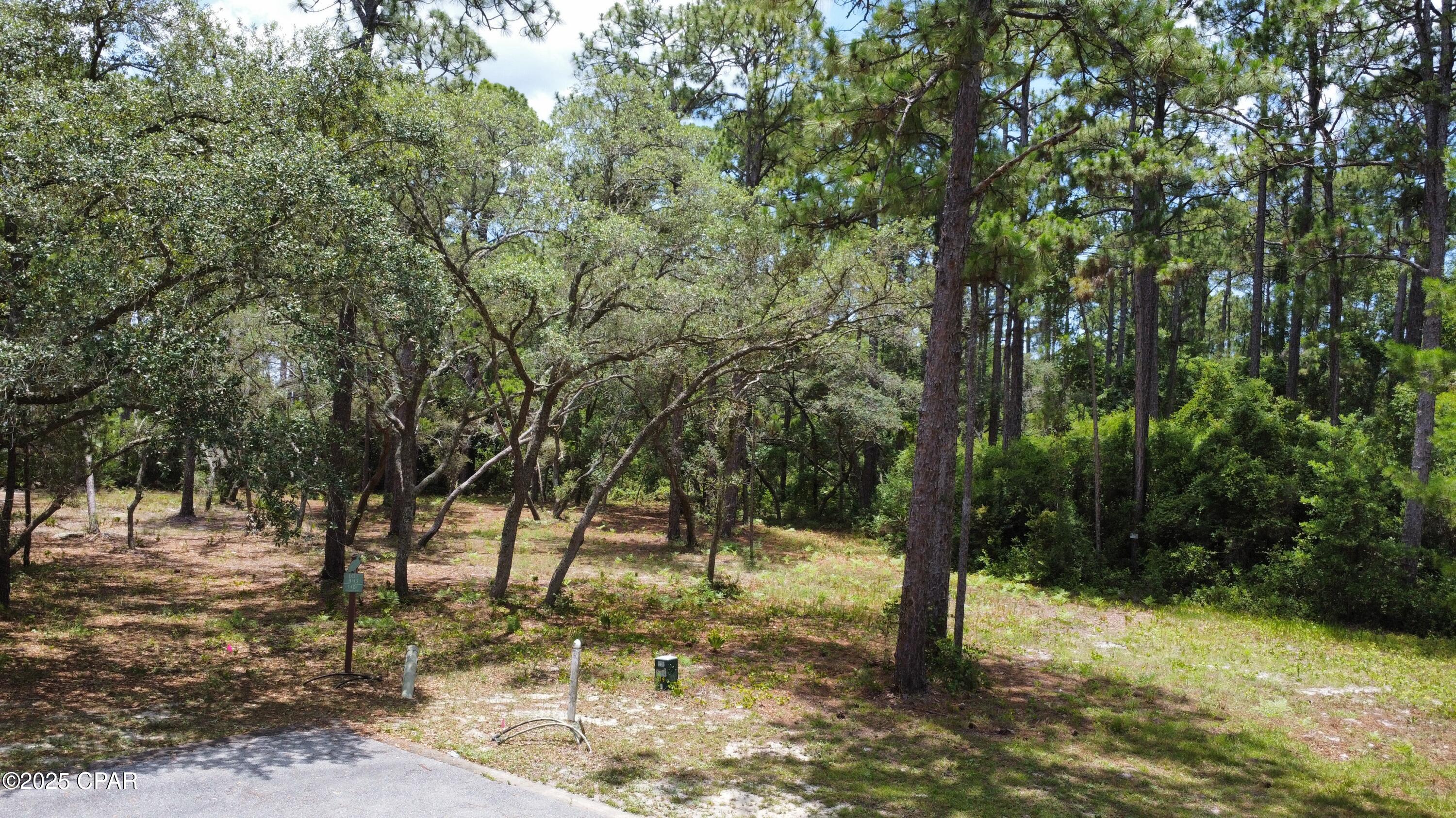 Image 14 For 1401 Turtleback Trail