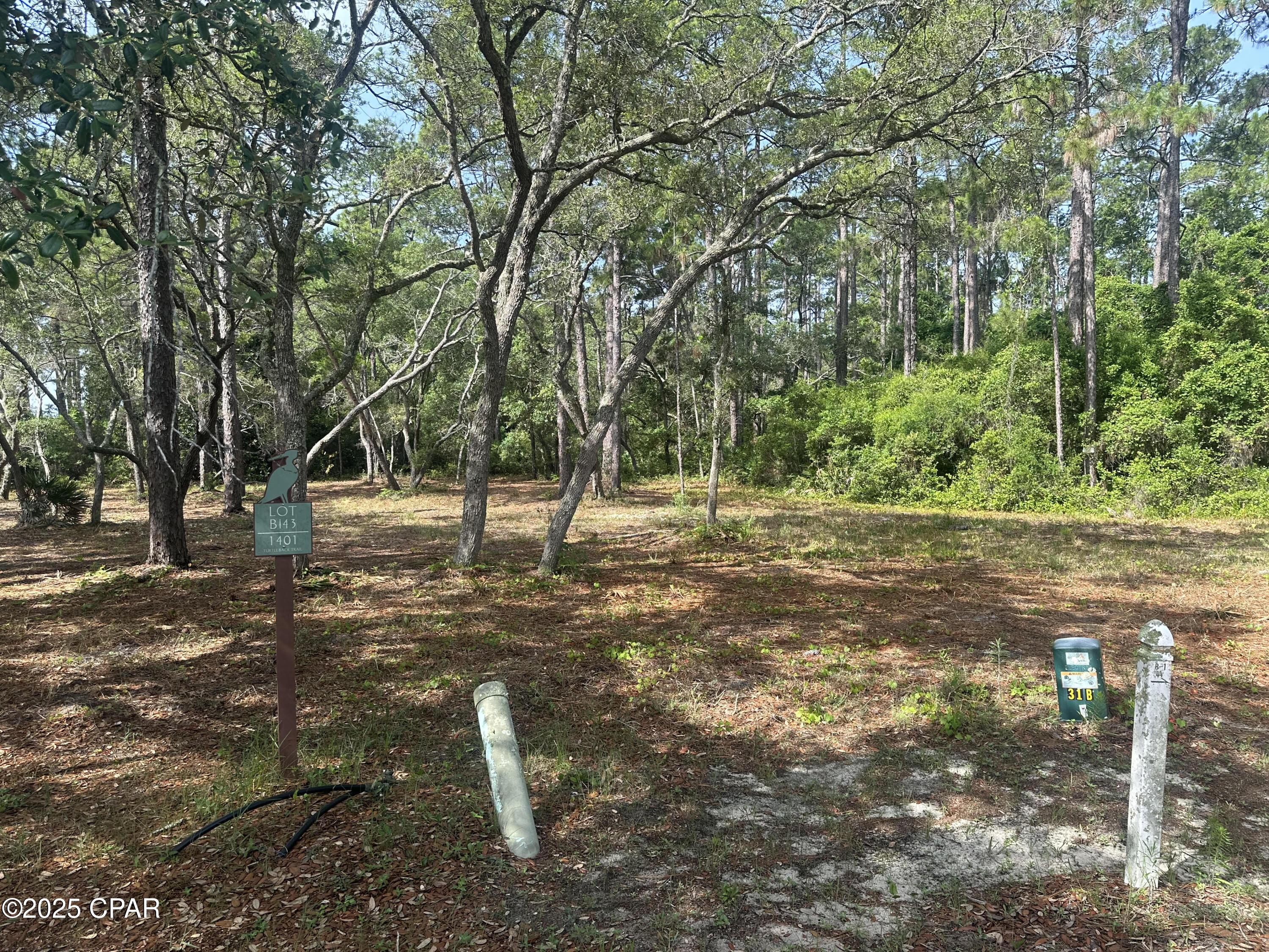 Image 7 For 1401 Turtleback Trail