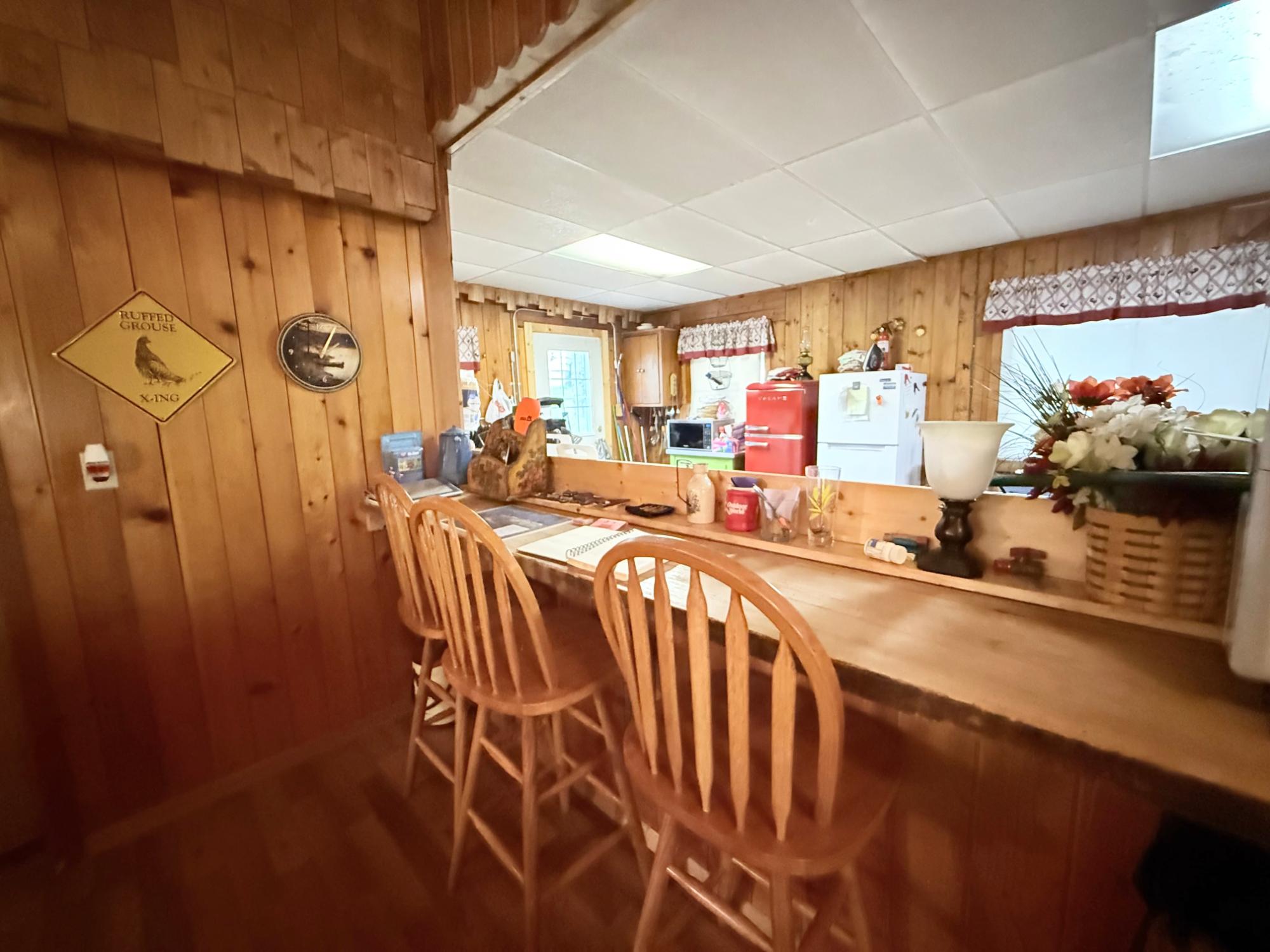 Pelican Lake Property 2473 Norway Point Rd Photo 27