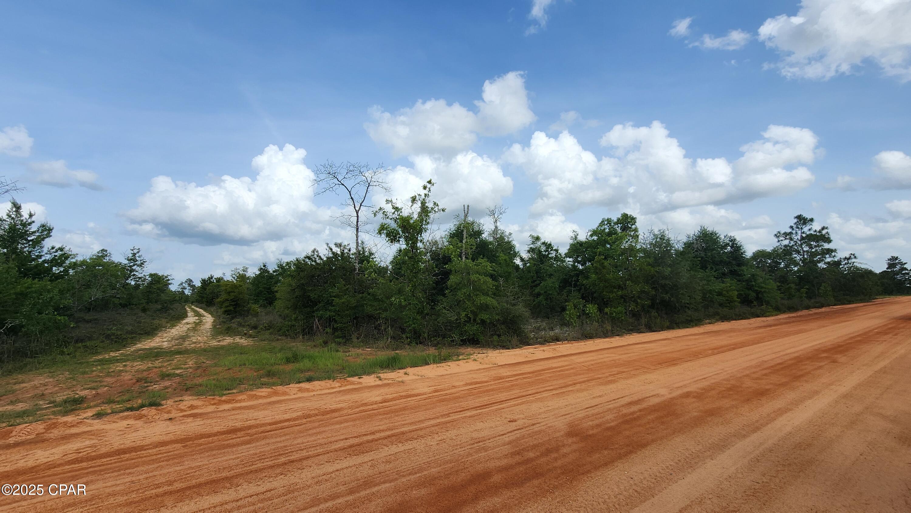 Image 4 For 0 Petty Road Lot 11